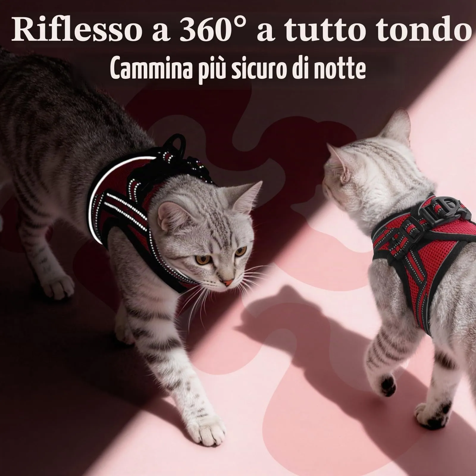 rabbitgoo Pettorina Antifuga e Guinzaglio per Gatti, Ultra-Leggero e Riflettente, S, Rosso - immagine 5