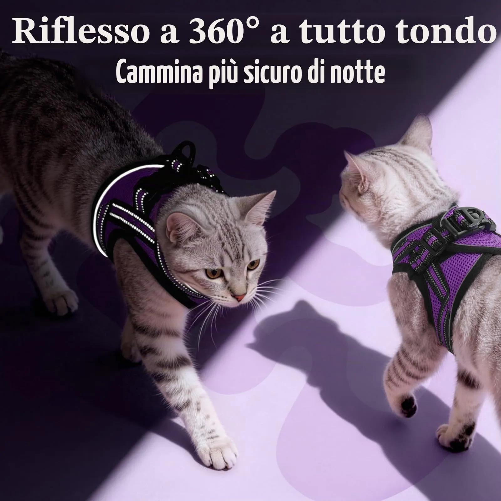 rabbitgoo Pettorina e Guinzaglio Antifuga per Gatto, Riflettente e Regolabile, S, Viola - immagine 6