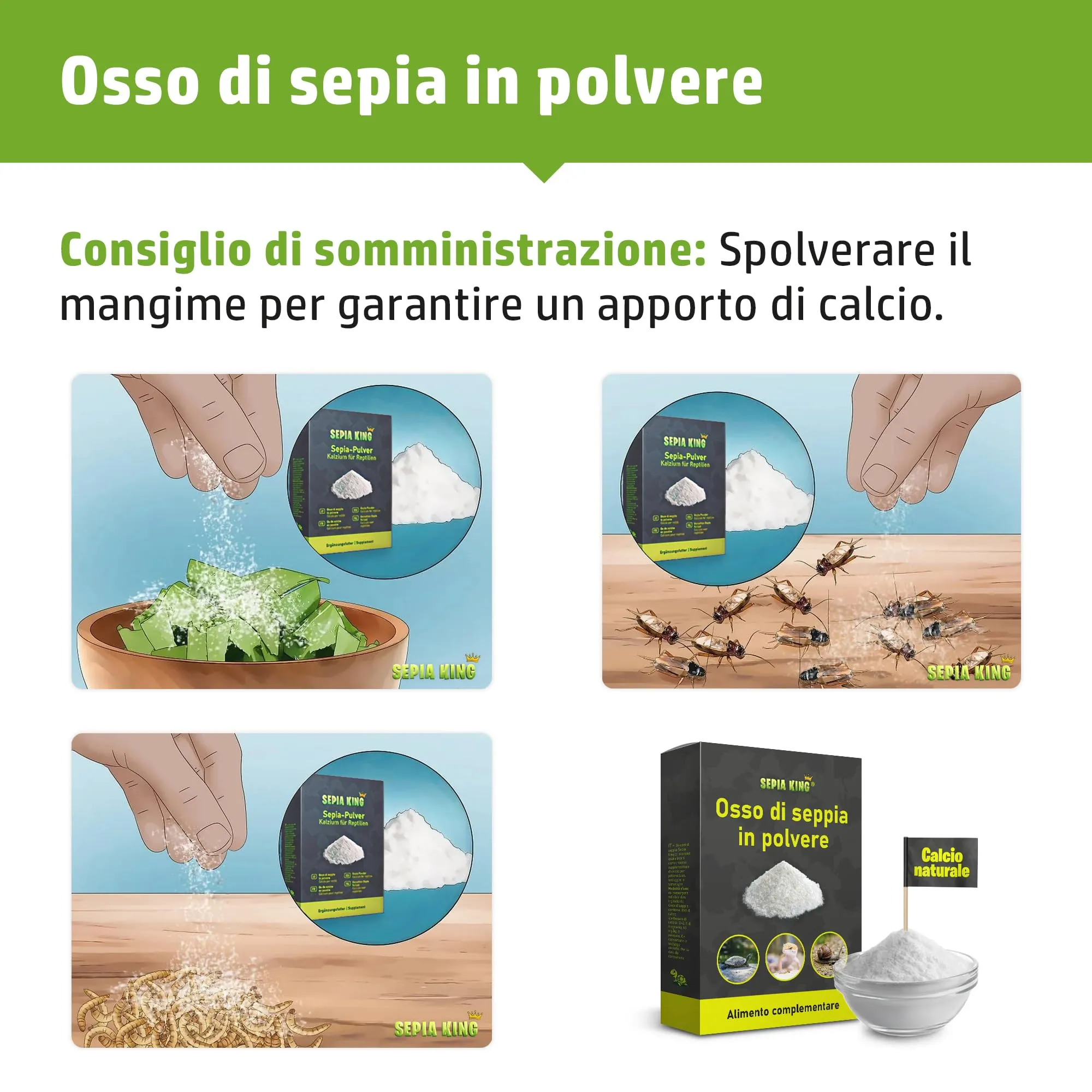 Sepia King Polvere di Osso di Seppia Calcio per Tartarughe, Rettili e Lumache - 50 g - immagine 2