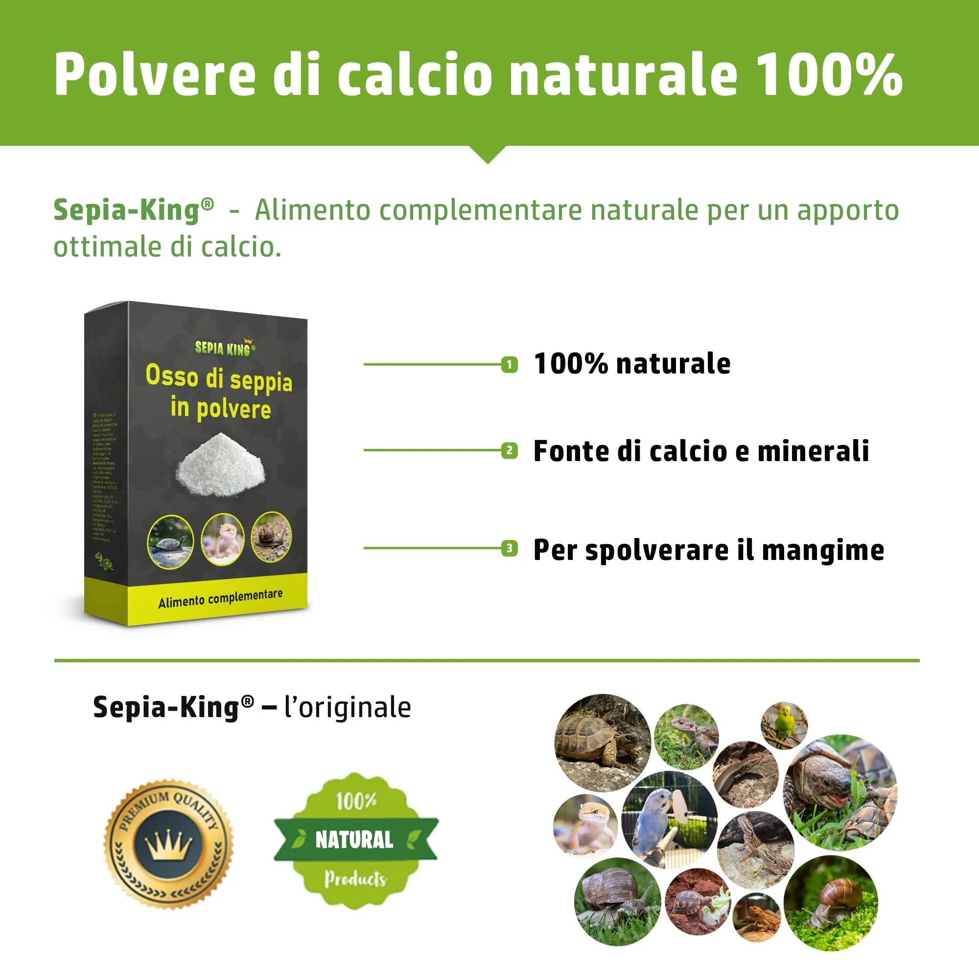 Sepia King Polvere di Osso di Seppia Calcio per Tartarughe, Rettili e Lumache - 50 g - immagine 3