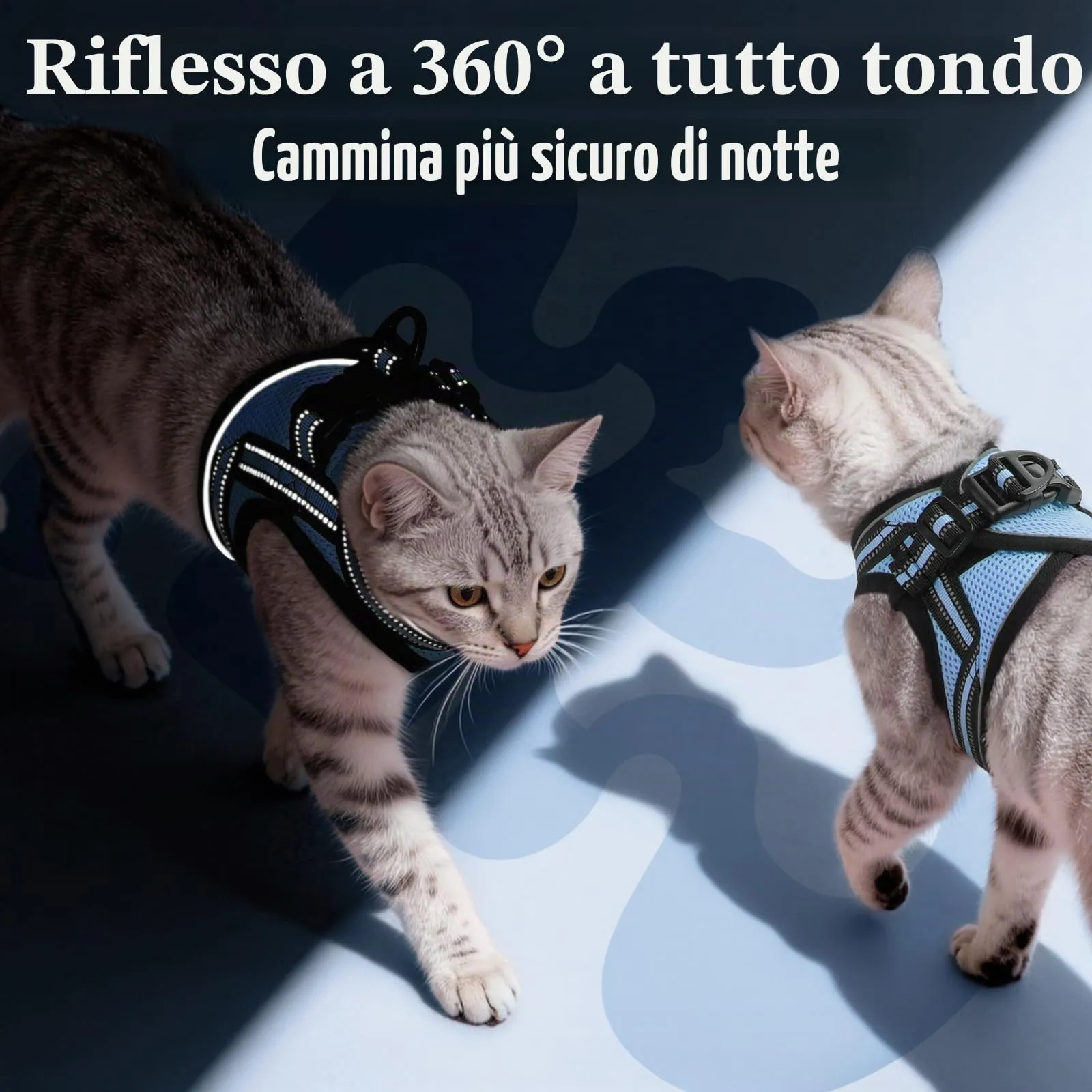 rabbitgoo Pettorina e Guinzaglio Antifuga per Gatti, Riflettente e Regolabile, M, Azzurro - immagine 5