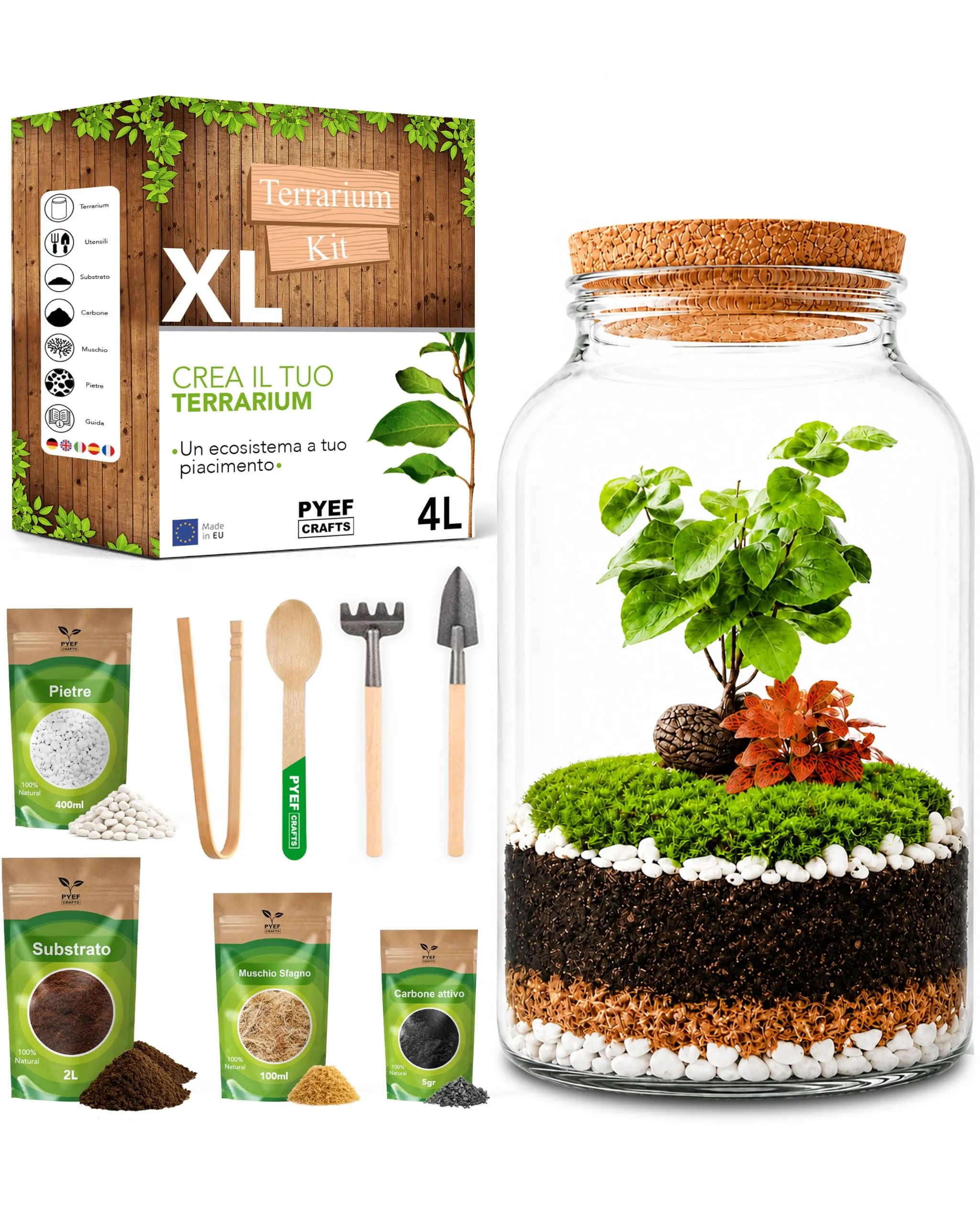 PYEF CRAFTS Kit Terrarium con Vaso in Vetro 4L - immagine 1