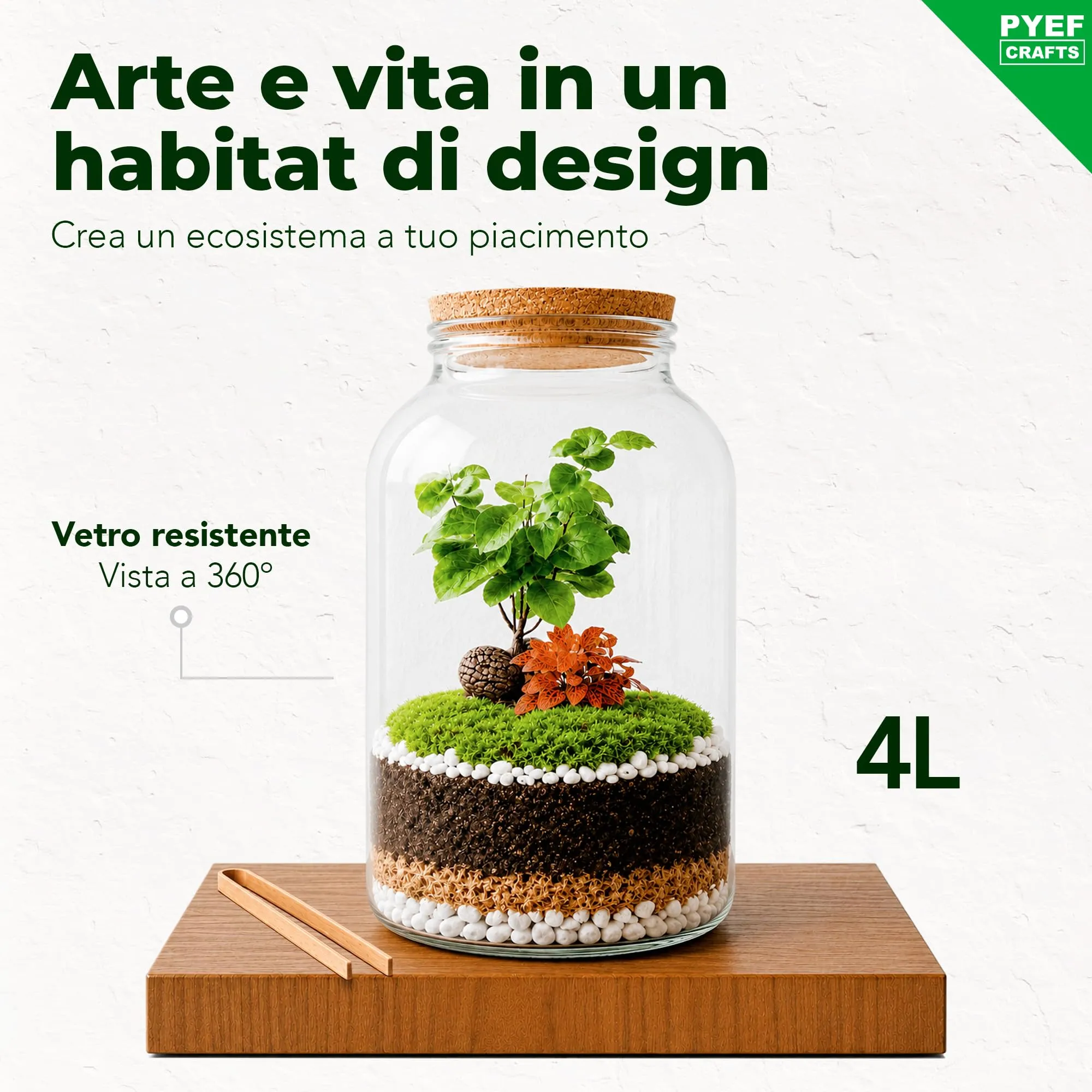 PYEF CRAFTS Kit Terrarium con Vaso in Vetro 4L - immagine 2