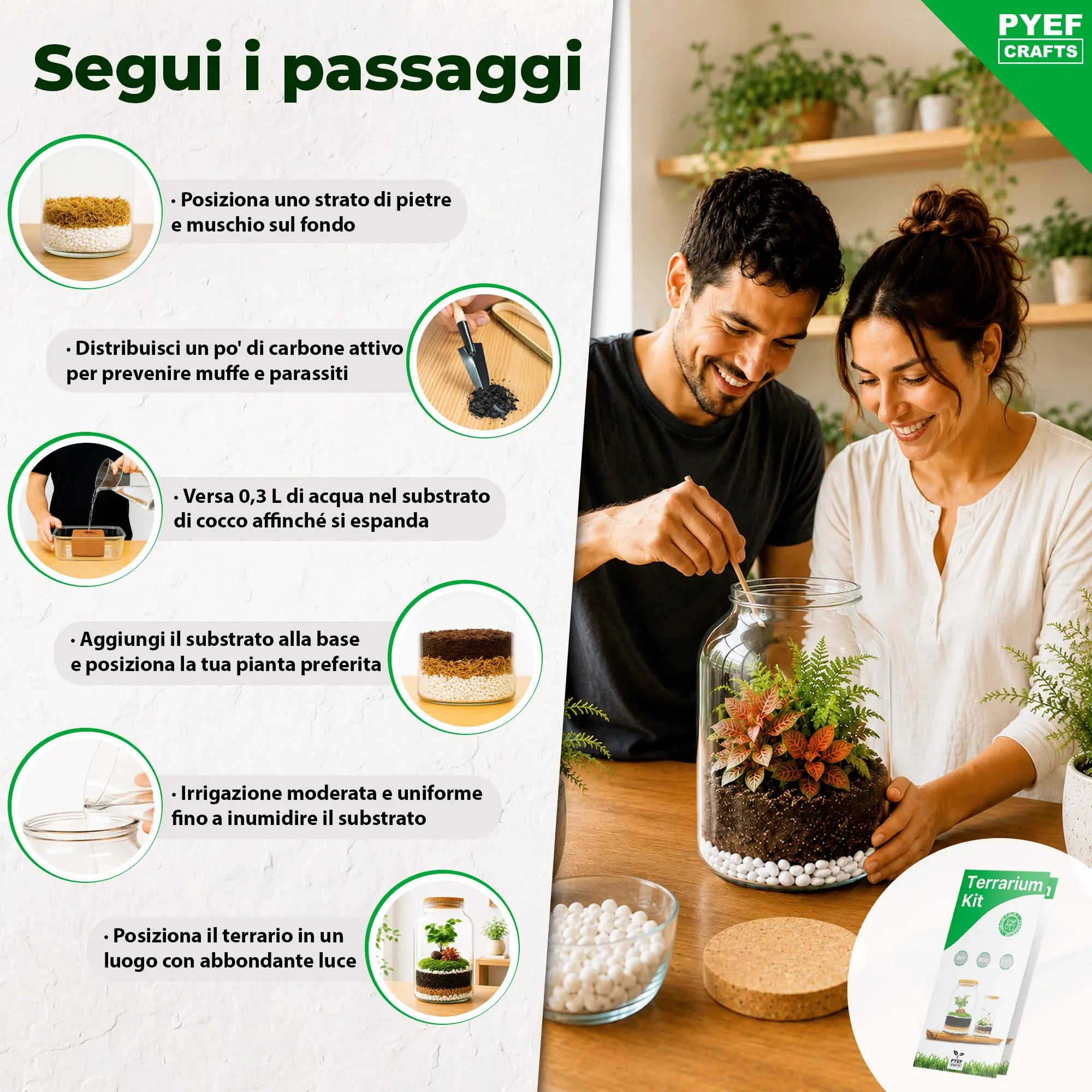 PYEF CRAFTS Kit Terrarium con Vaso in Vetro 4L - immagine 3