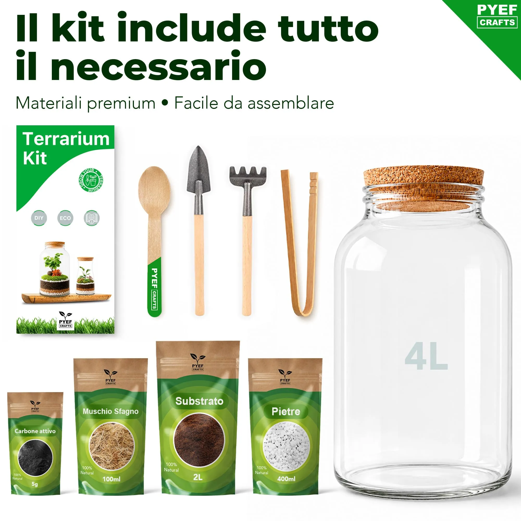 PYEF CRAFTS Kit Terrarium con Vaso in Vetro 4L - immagine 5