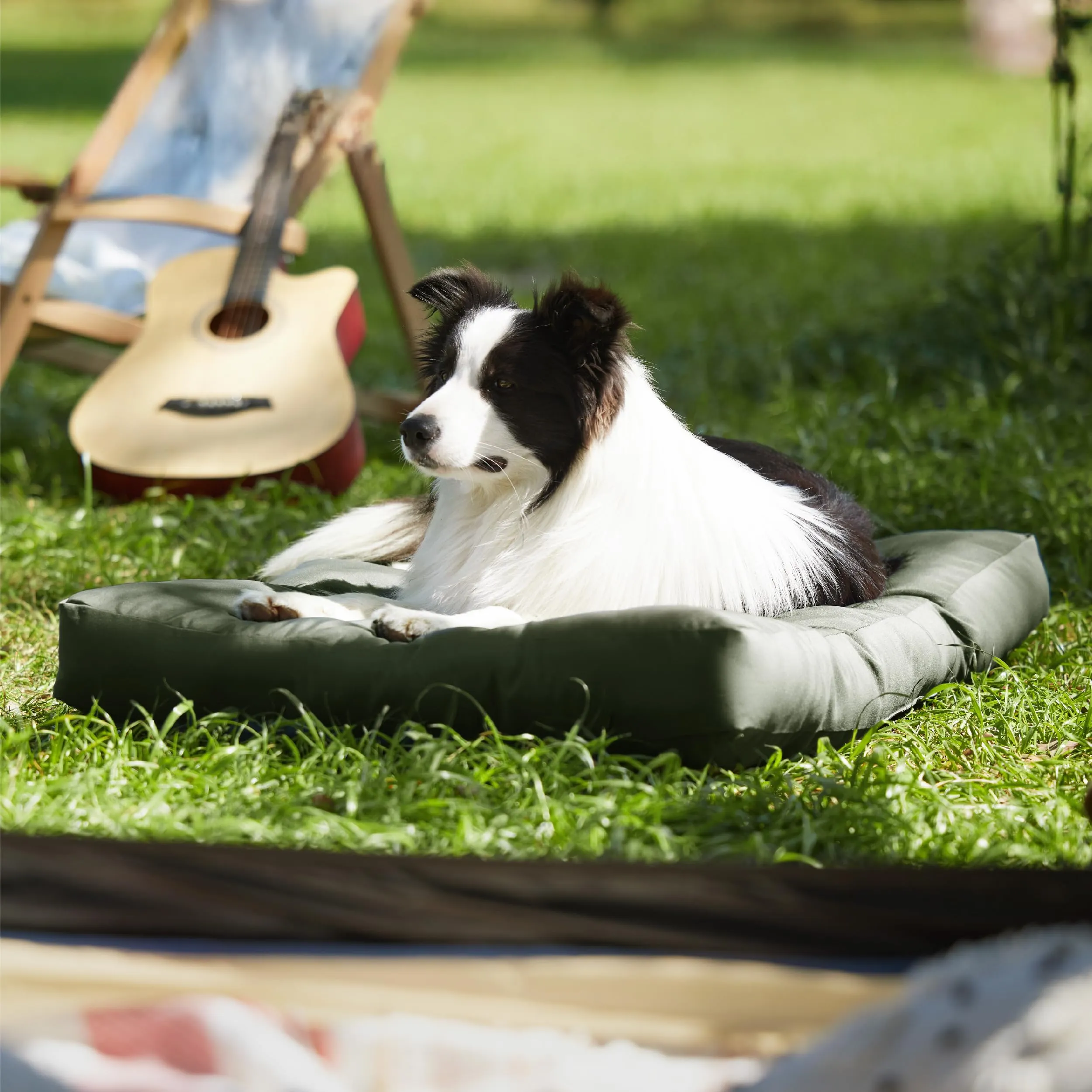 Bedsure Materasso Cani Lavabile, 91x68 cm, Verde - immagine 7