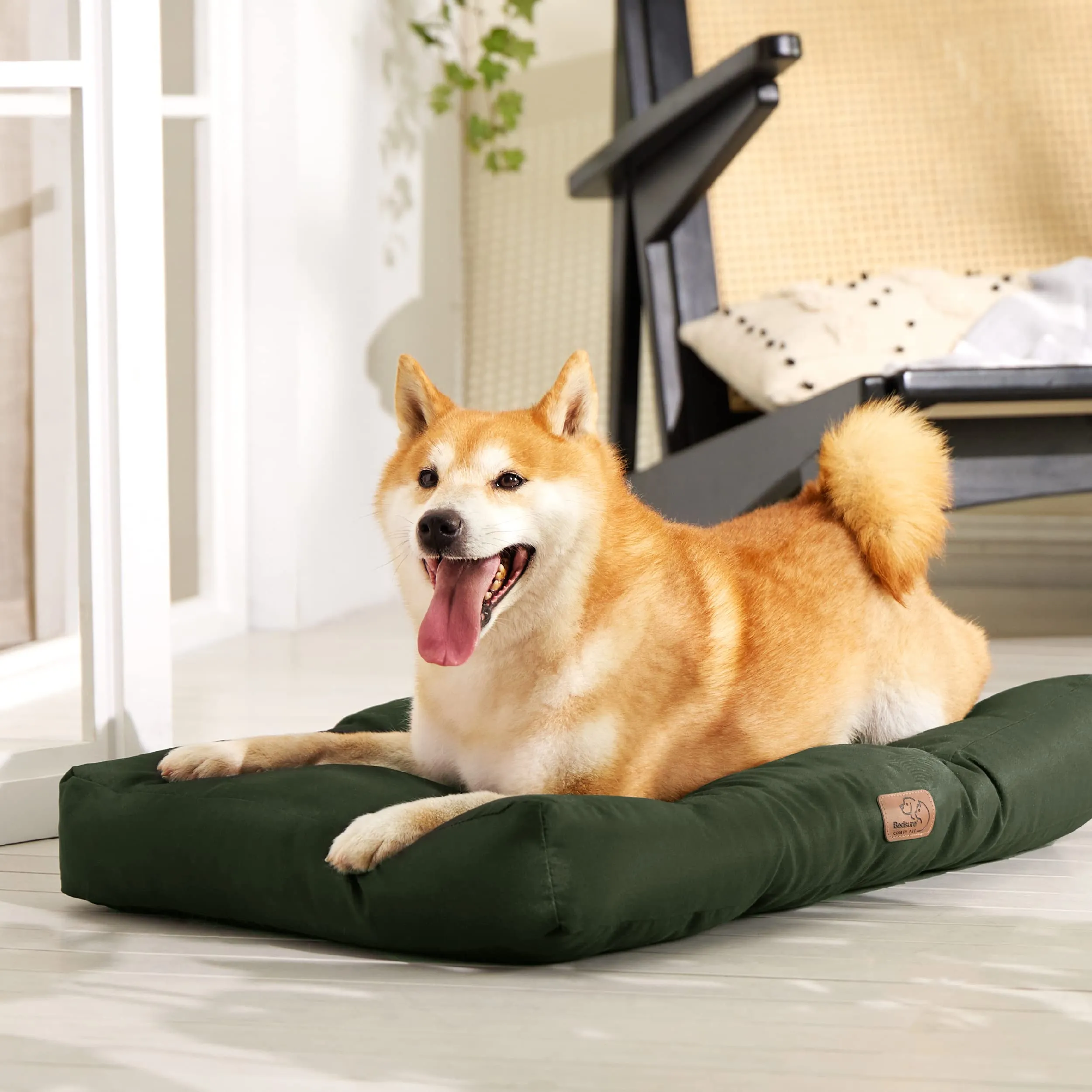 Bedsure Materasso Cani Lavabile, 91x68 cm, Verde - immagine 9
