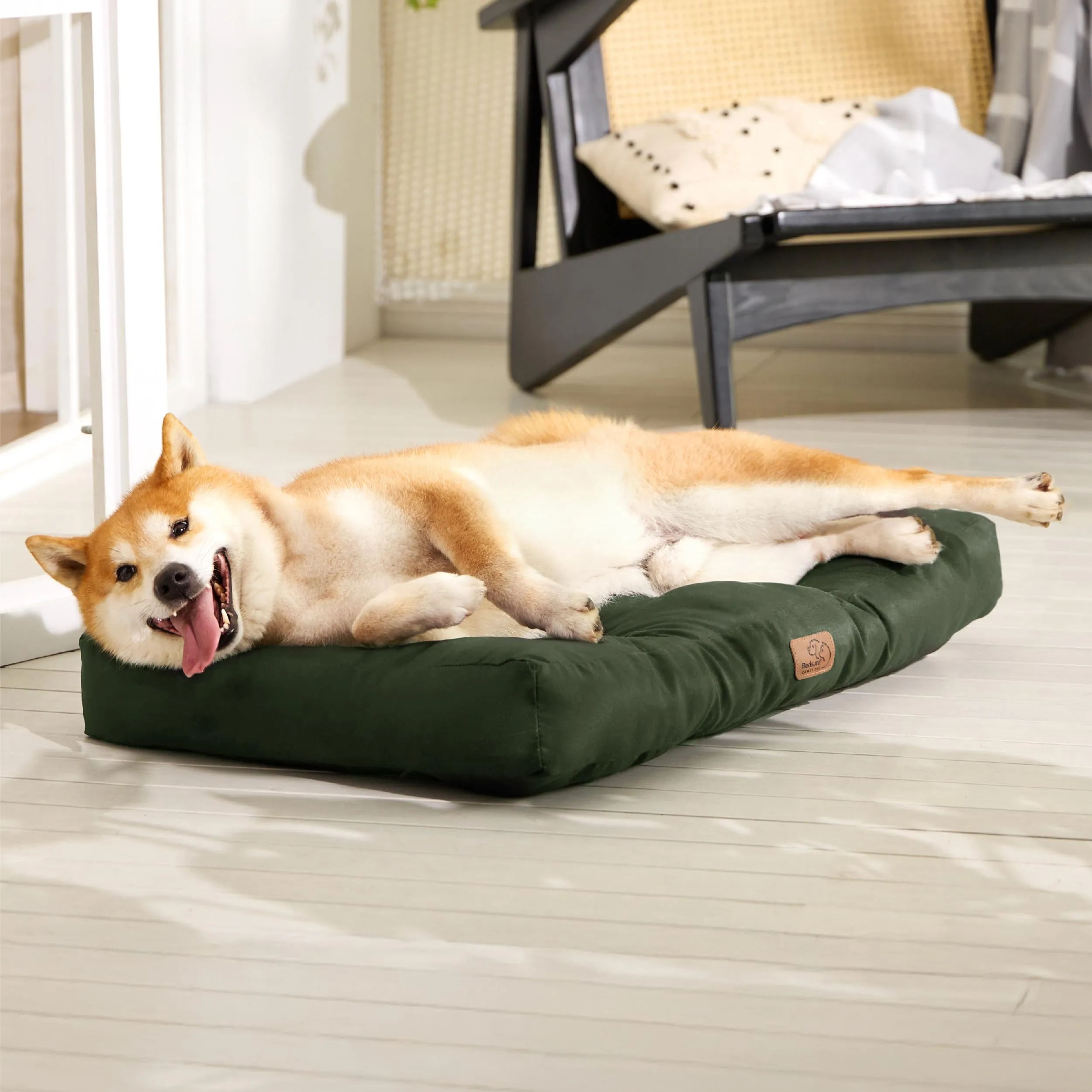Bedsure Materasso Cani Lavabile, Taglia Media, 76x50 cm, Verde - immagine 7