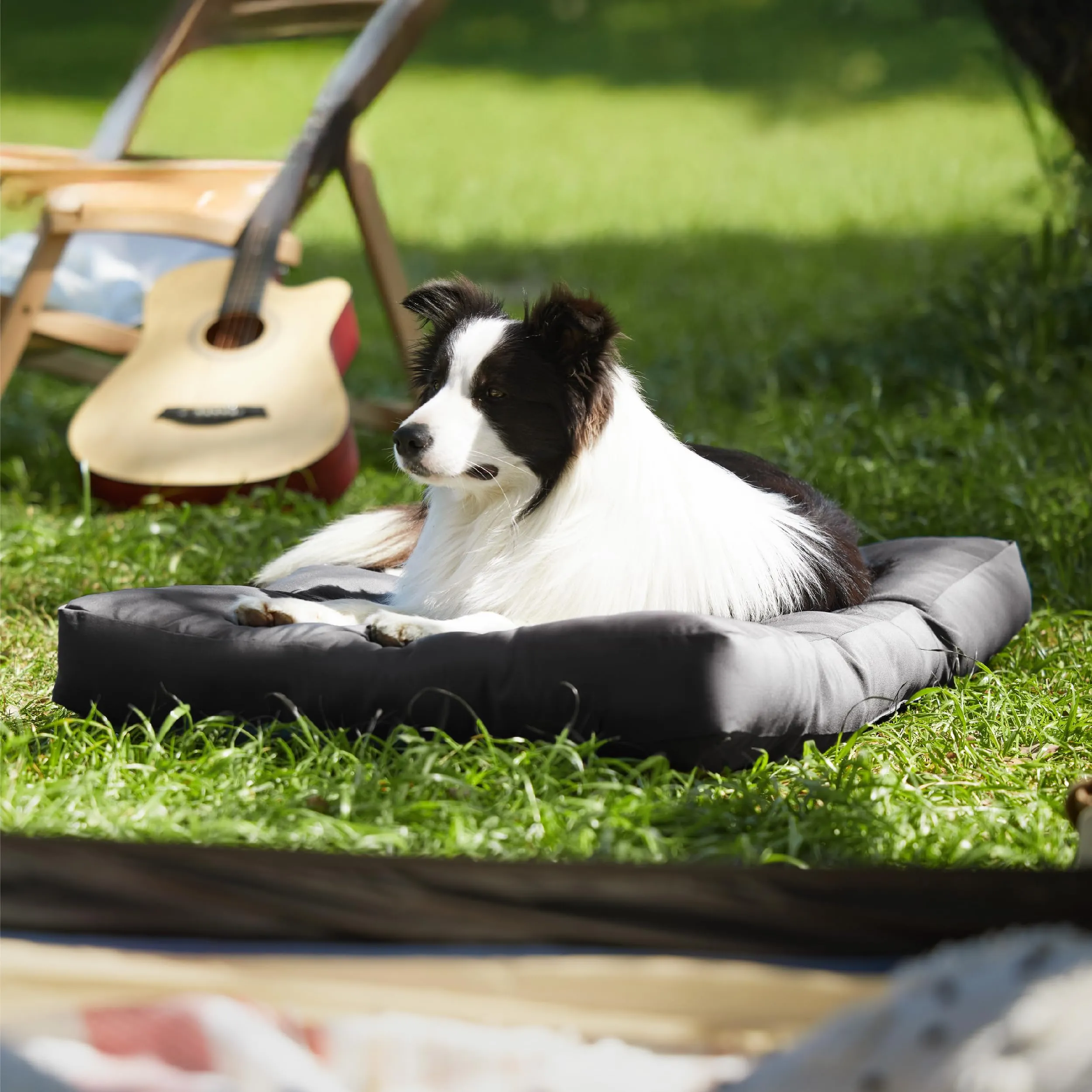 Bedsure Materasso per Cani Lavabile, 91x68 cm, Nero - immagine 7