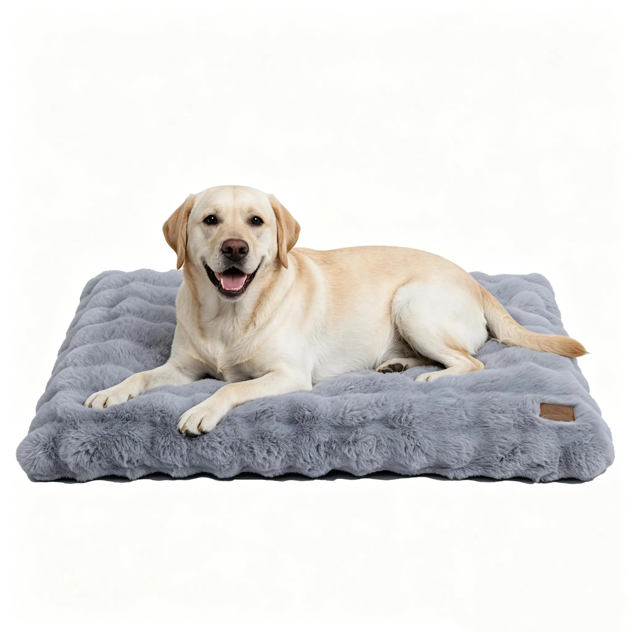 BingoPaw Cuccia Cane Extra Grande, Lavabile, 105x70x12cm, Grigio - immagine 1