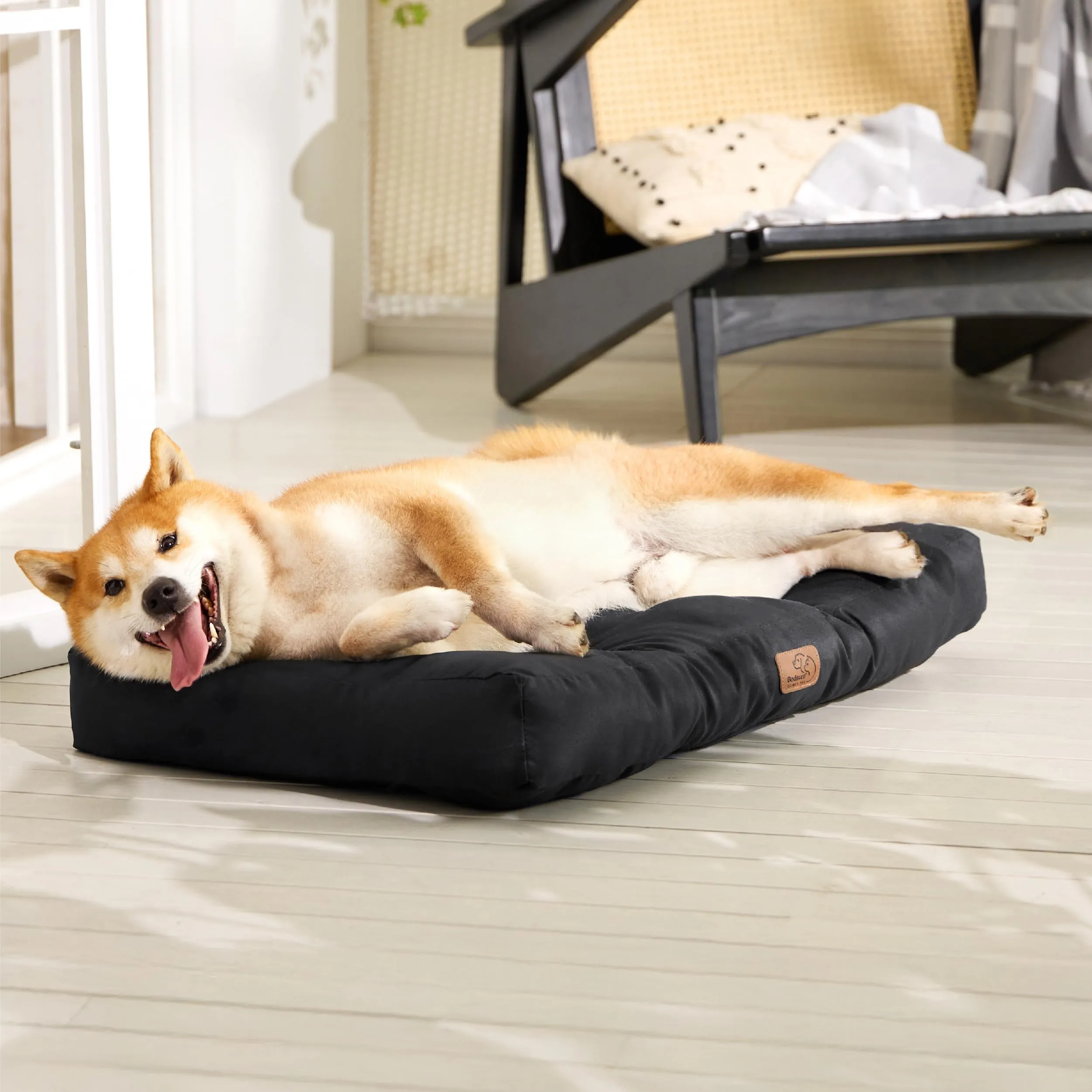 Bedsure Materasso Cani Lavabile, Taglia Media 76x50 cm, Nero - immagine 7