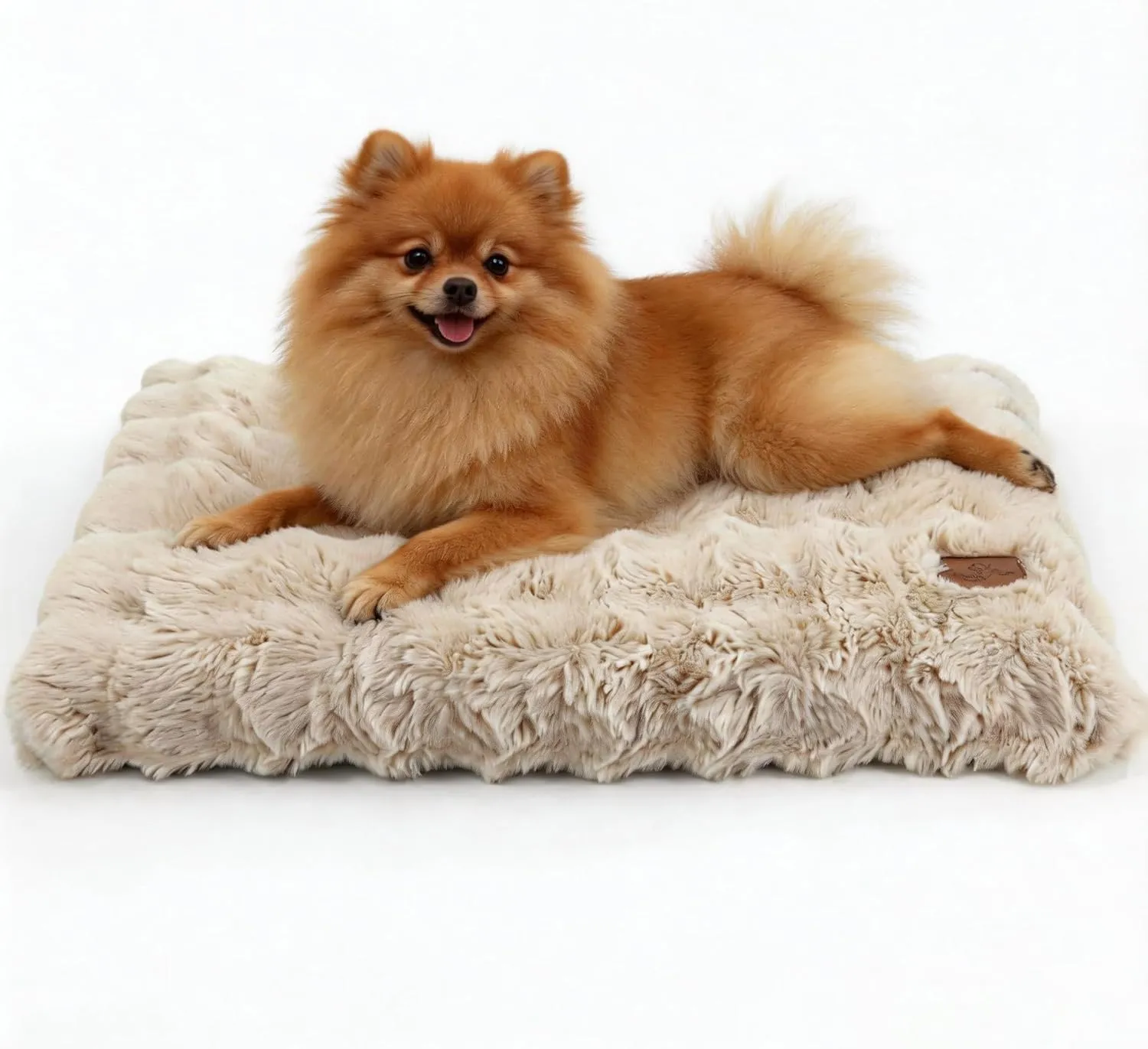 BingoPaw Cuccia Cane Interno, 76x51x10cm, Beige - immagine 1