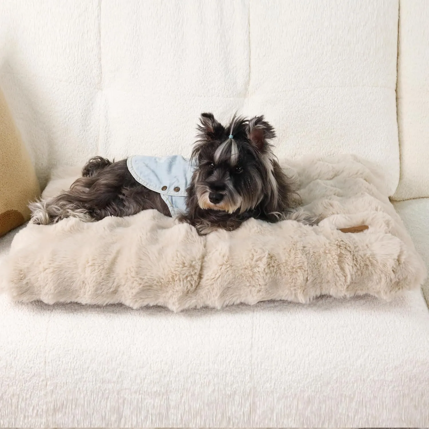 BingoPaw Cuccia Cane Interno, 76x51x10cm, Beige - immagine 5