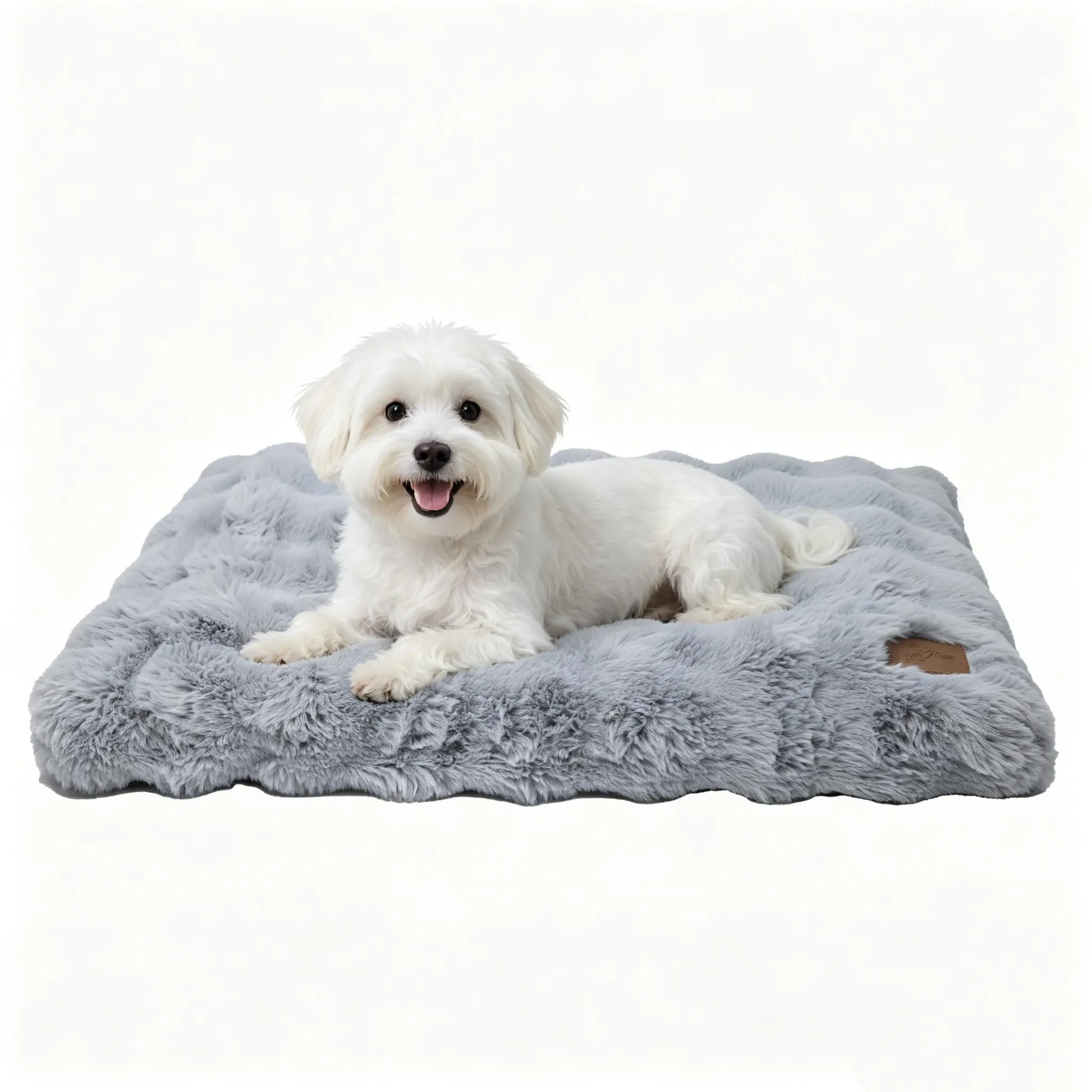 BingoPaw Cuccia Cane Interno Lavabile, 76x51x10cm, Grigio - immagine 1