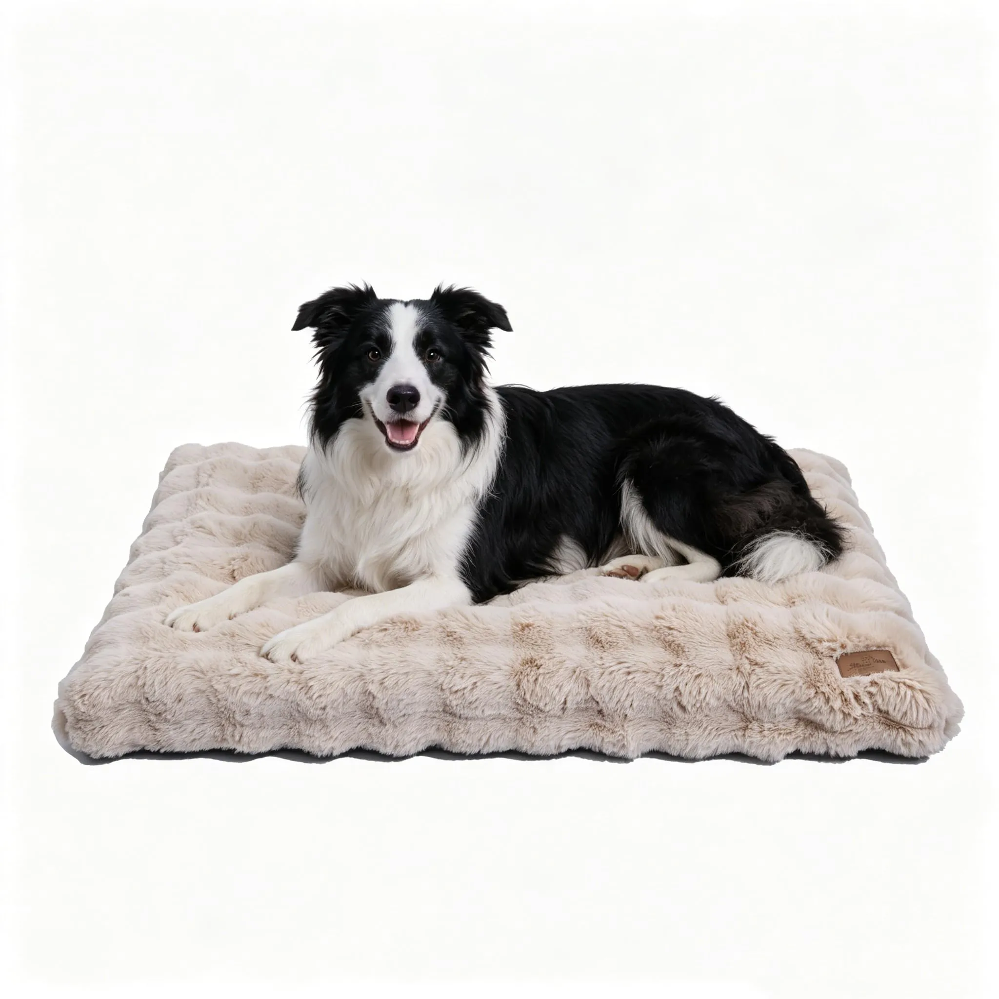 BingoPaw Cuccia Cane Extra Grande, 105x70x12cm, Beige - immagine 1