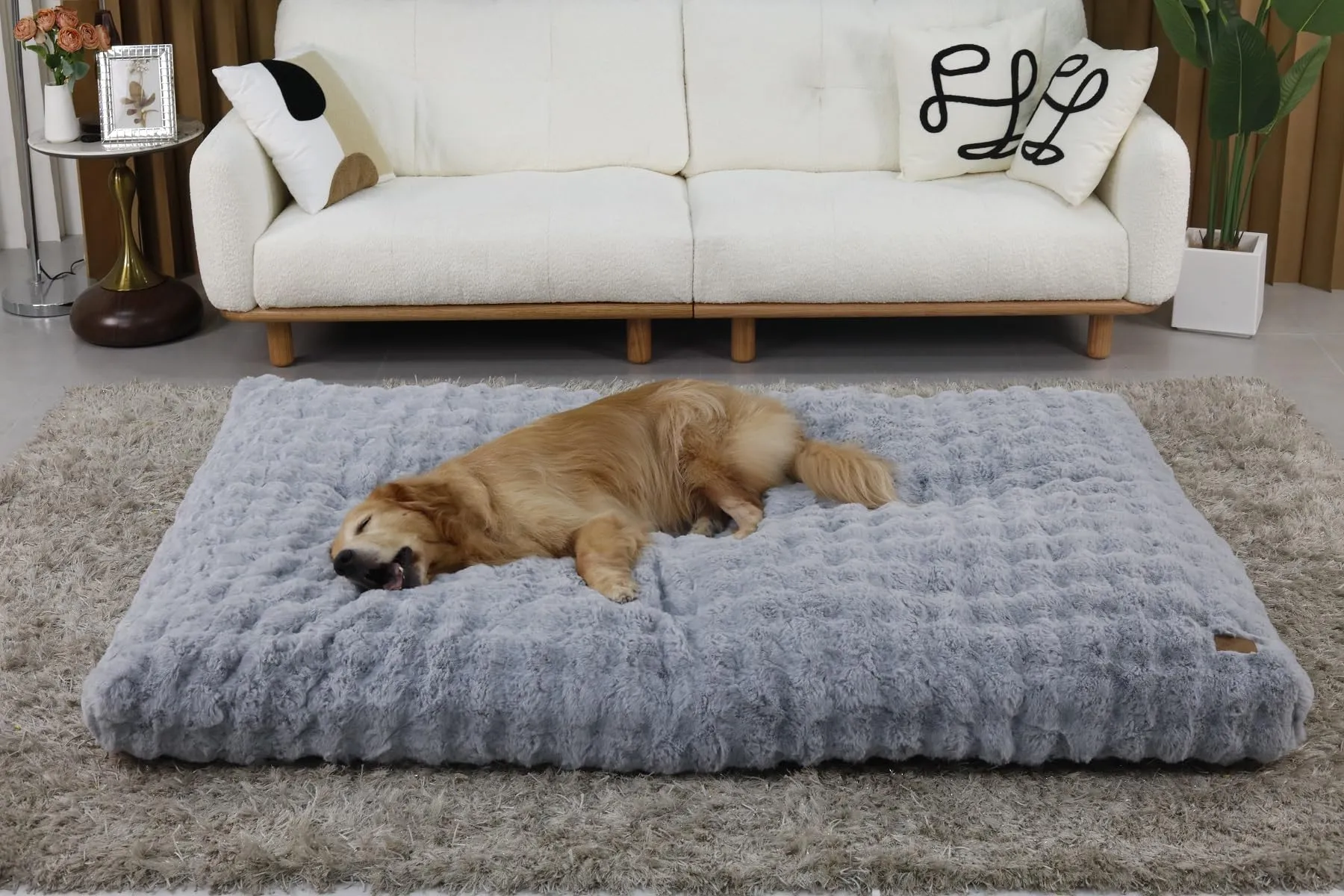 BingoPaw Cuscino per cani Taglia Grande, Cuccia Sfoderabile e Lavabile - immagine 9