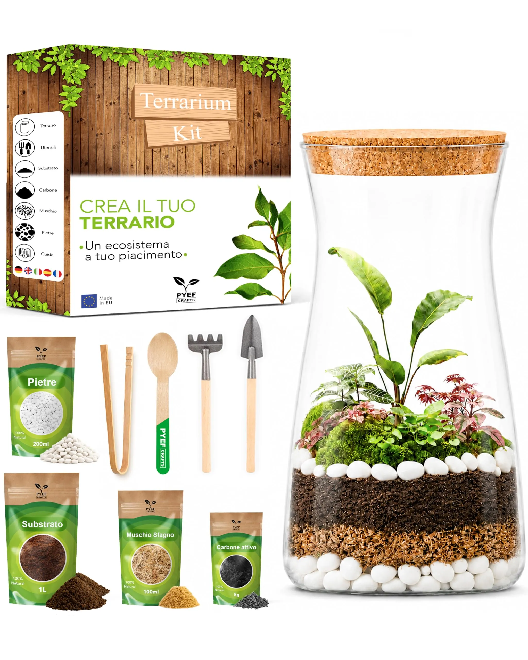PYEF CRAFTS Kit Terrarium con Vaso in Vetro 1L - immagine 1