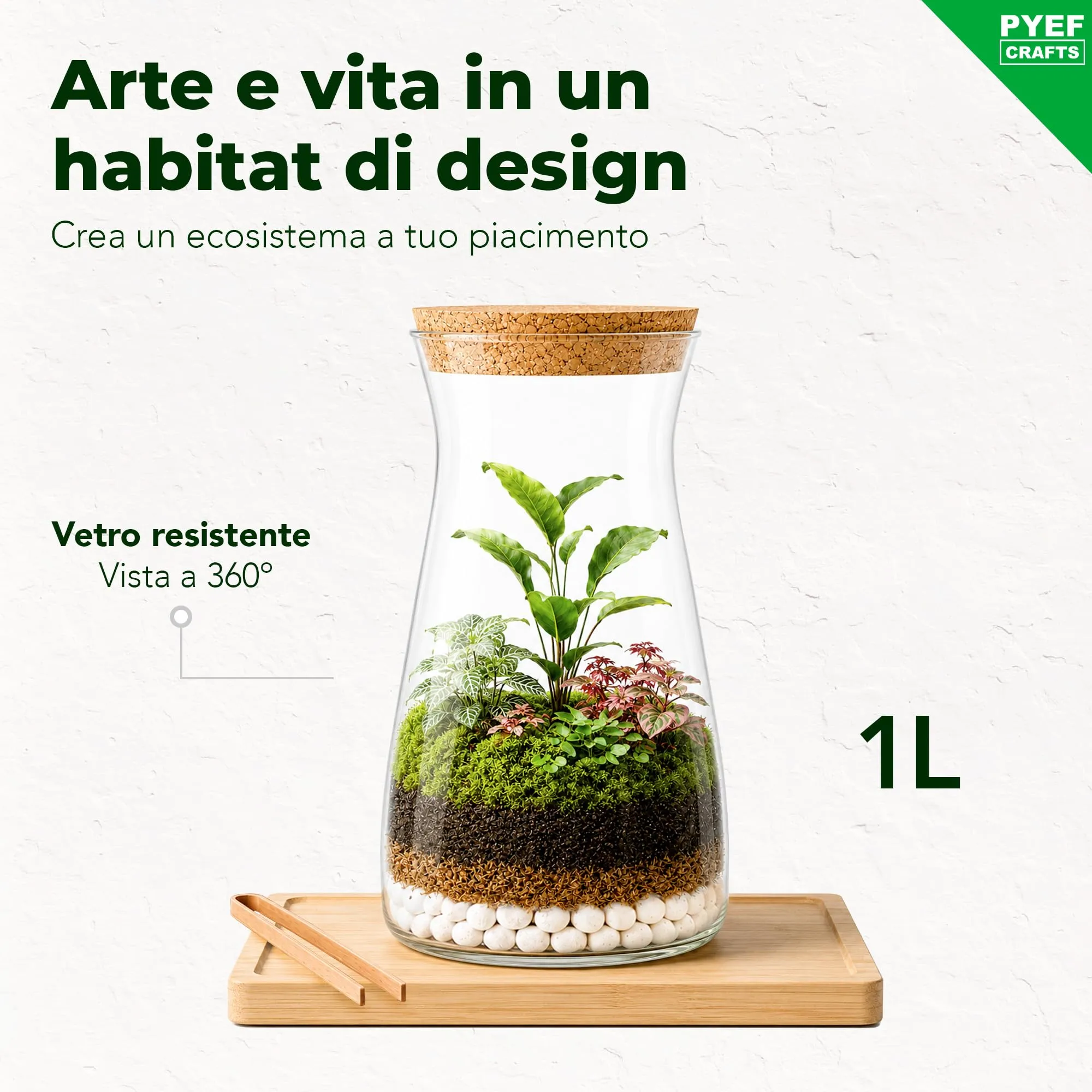 PYEF CRAFTS Kit Terrarium con Vaso in Vetro 1L - immagine 2