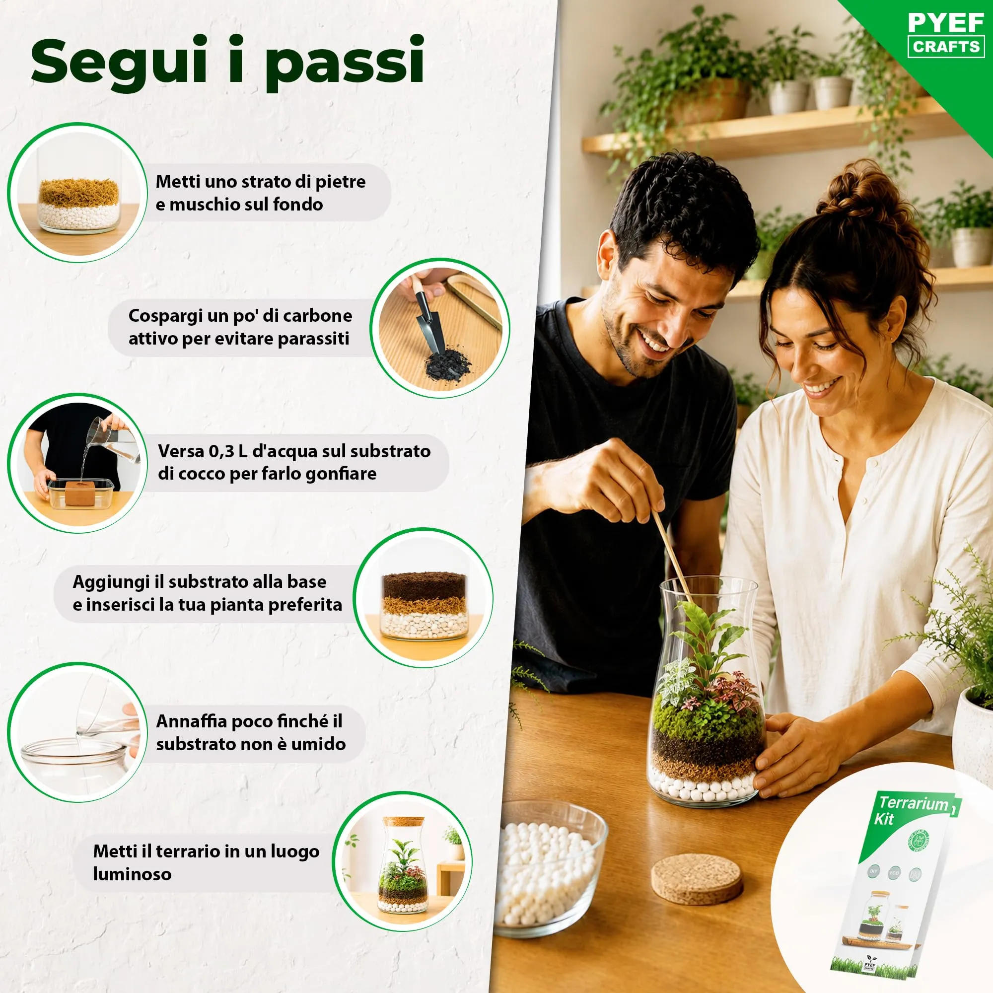 PYEF CRAFTS Kit Terrarium con Vaso in Vetro 1L - immagine 3