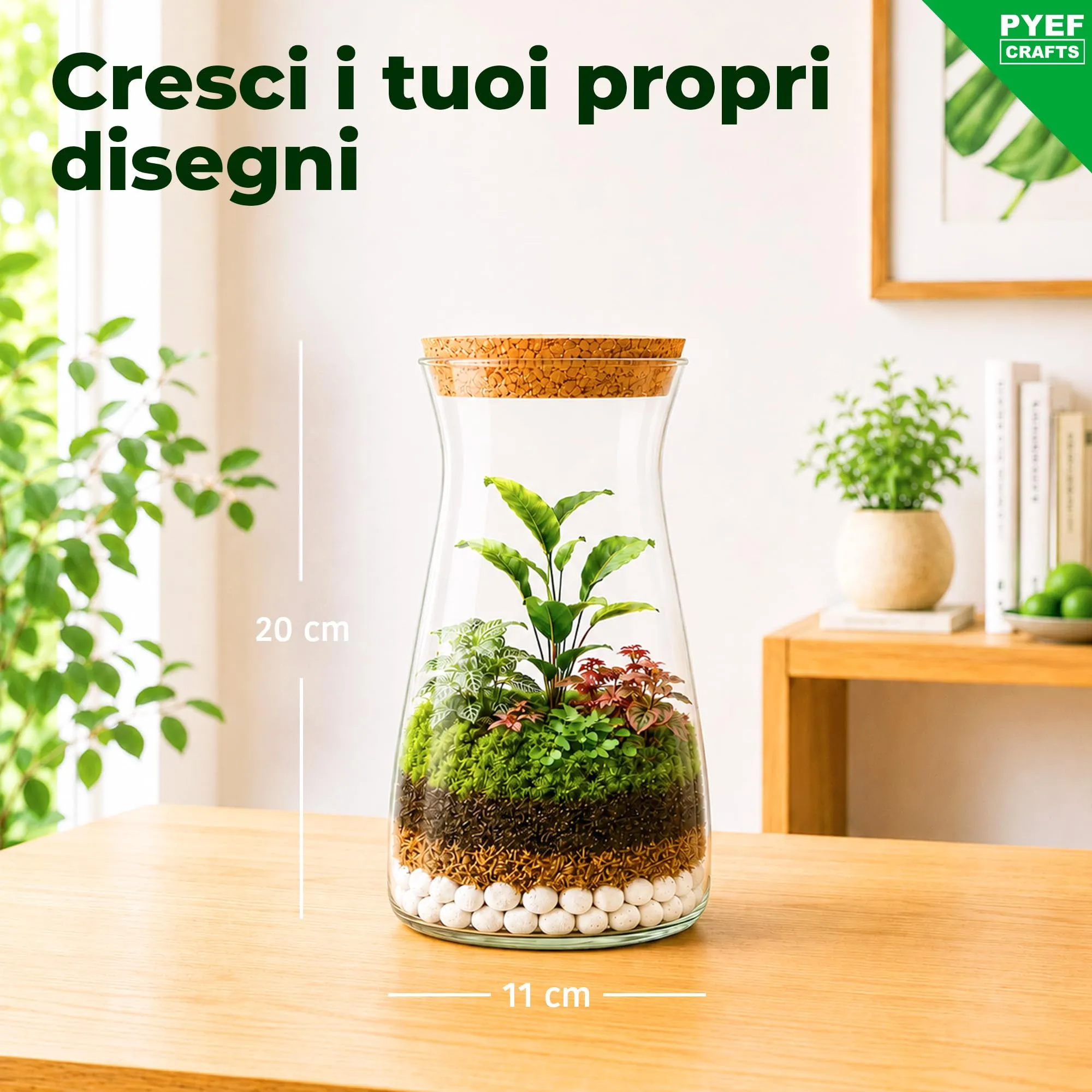 PYEF CRAFTS Kit Terrarium con Vaso in Vetro 1L - immagine 4