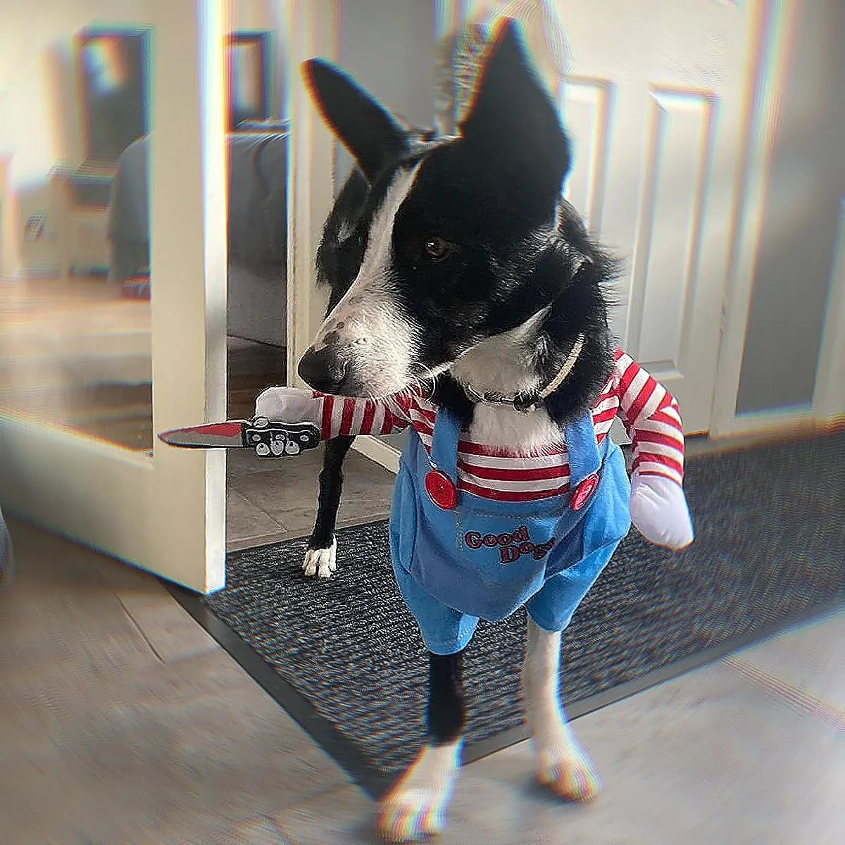 Bprtcra Costume da Bambola Assassina per Cani, Taglia L - immagine 5