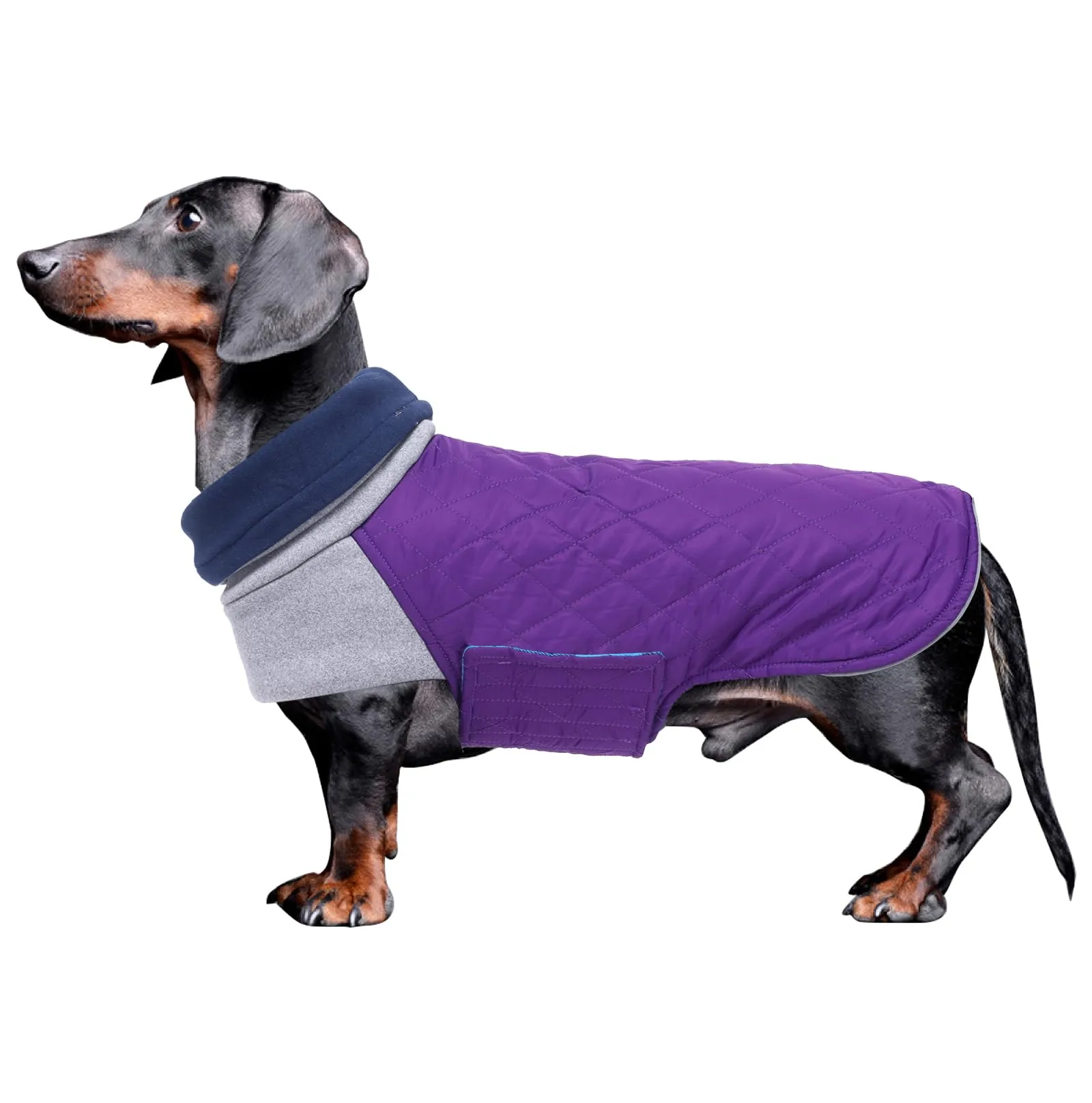 Geyecete Cappotto Invernale Impermeabile e Antivento per Bassotti, Viola - M - immagine 1