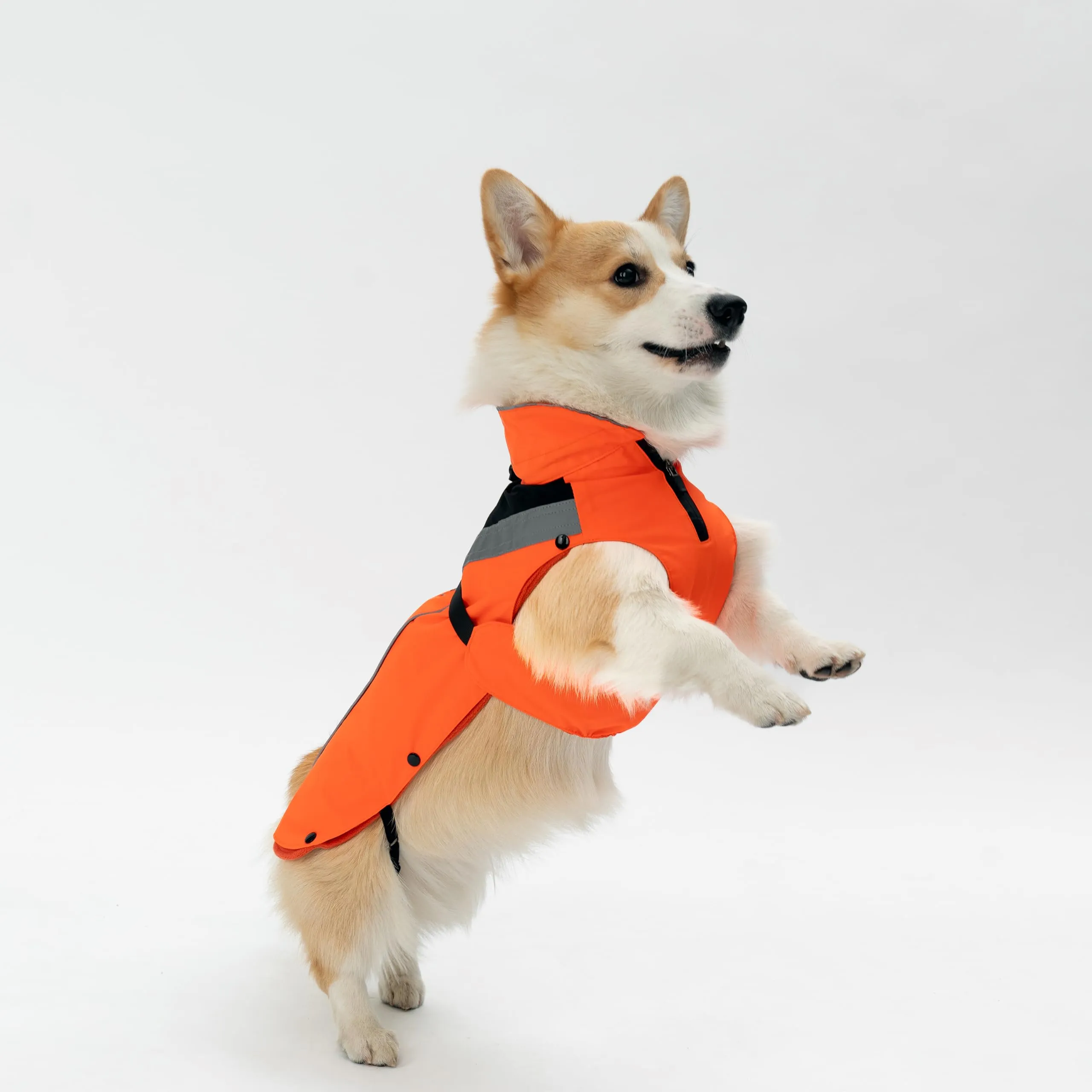 DOGOPAL Cappotto Impermeabile per Cani 2in1 All Weather con Fodera in Pile Rimovibile e Catarifrangente (Arancione, L) - immagine 13