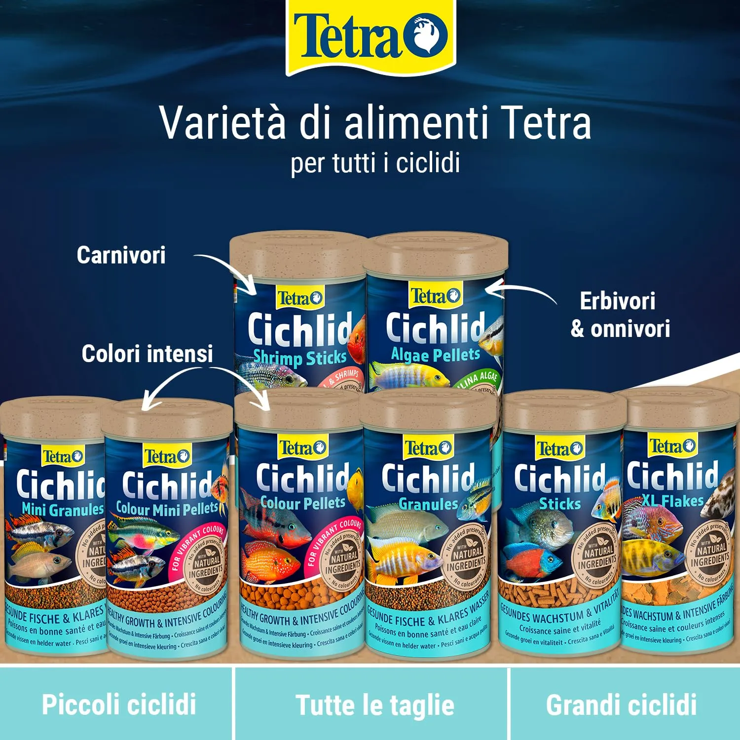 Tetra Cichlid Sticks Mangime per Ciclidi e Pesci Ornamentali Grandi, Bastoncini Galleggianti, 500 ml - immagine 8