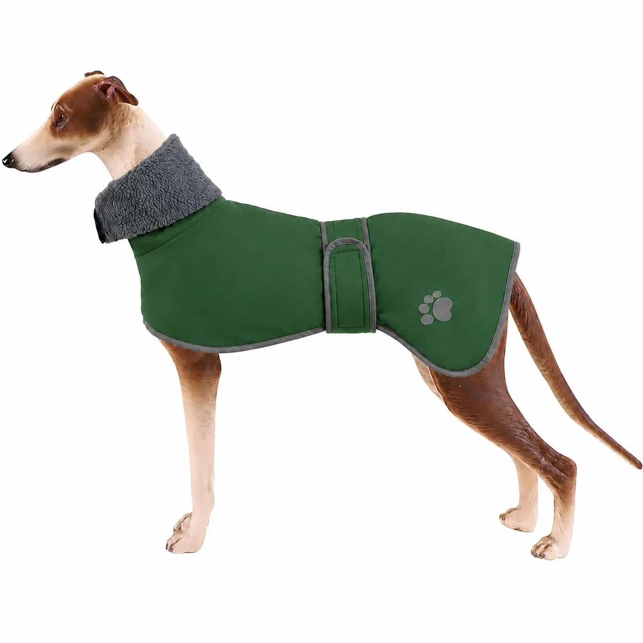 Geyecete Cappotto Impermeabile Invernale per Whippet e Levriero - immagine 1