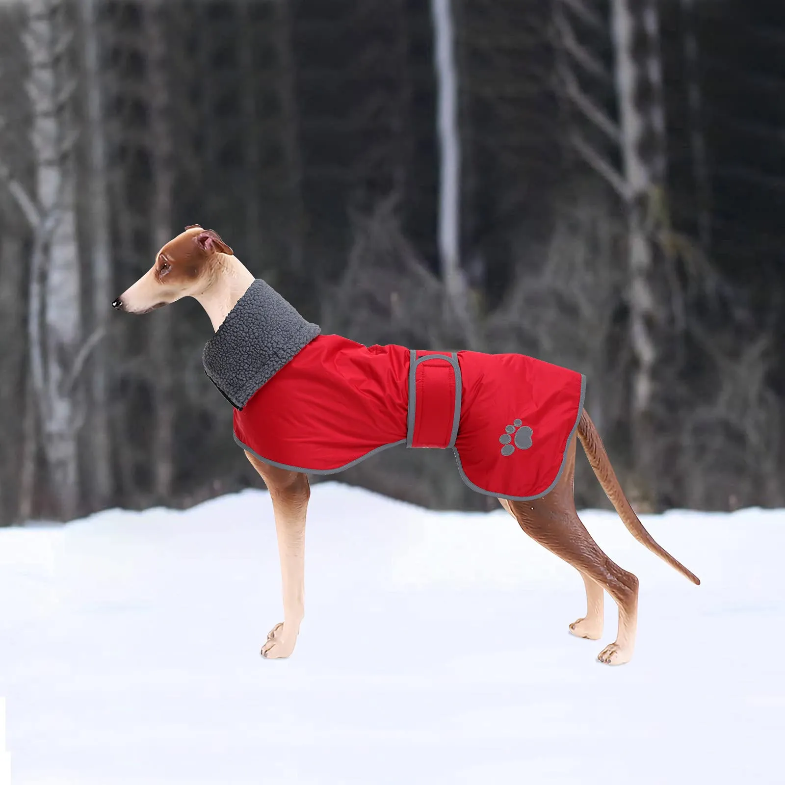 Geyecete Cappotto Impermeabile in Pile per Levrieri, Whippet e Lurcher - Rosso - XXXL - immagine 5