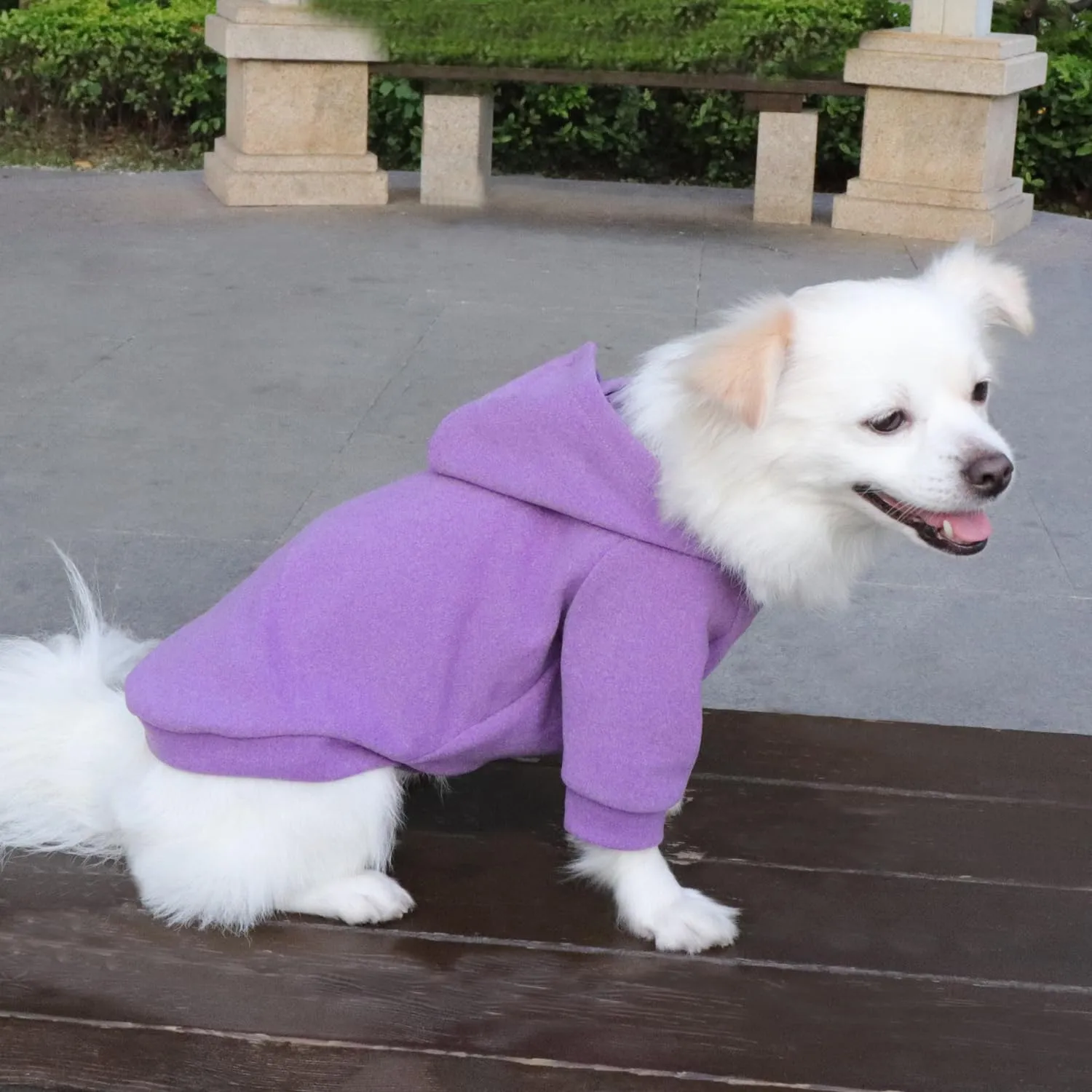 HuaLiSiJi Felpa con Cappuccio per Cani e Gatti, XL, Viola - immagine 4