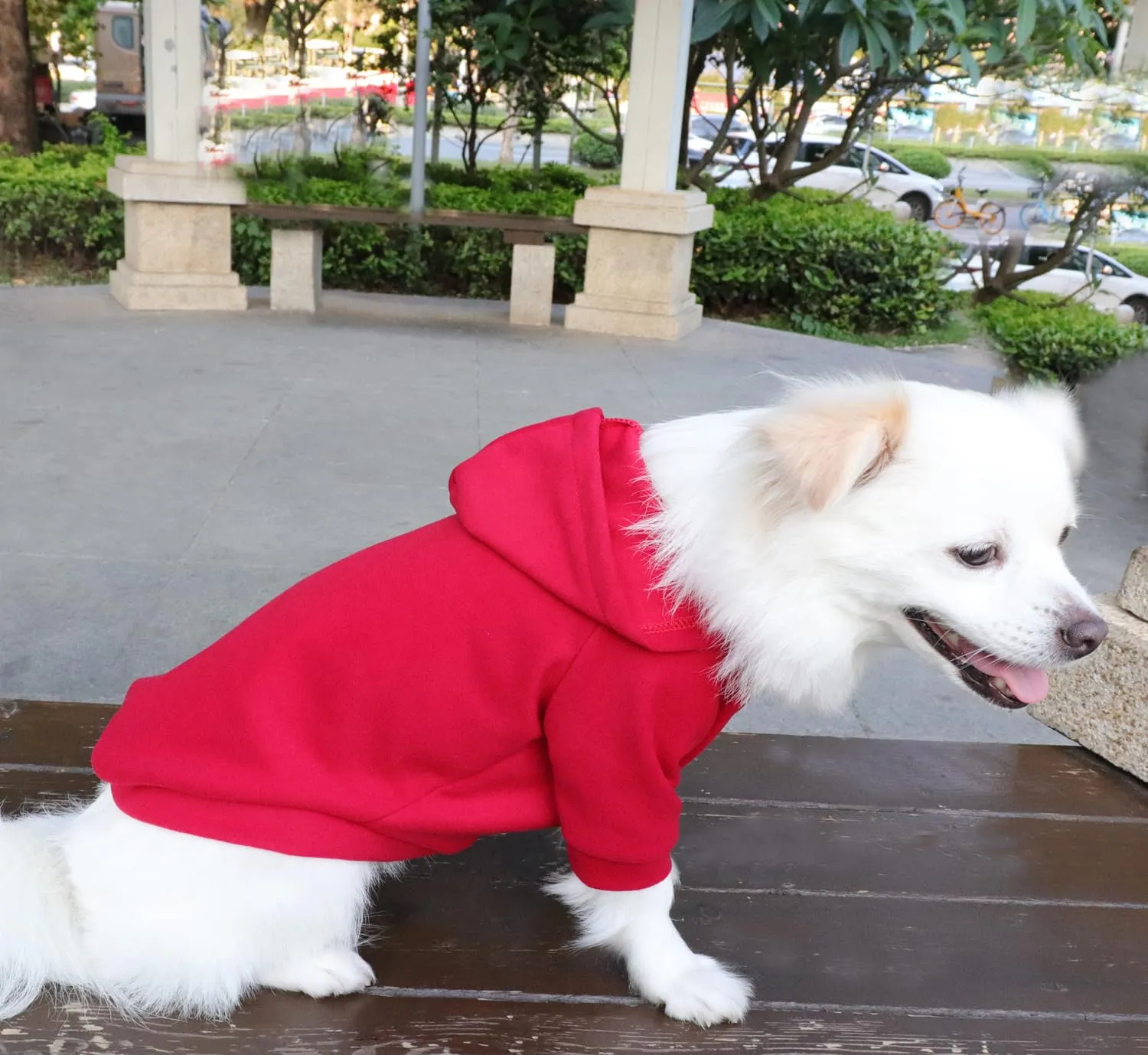 HuaLiSiJi Felpa per Cani e Gatti, S, Nero+Rosso - immagine 4