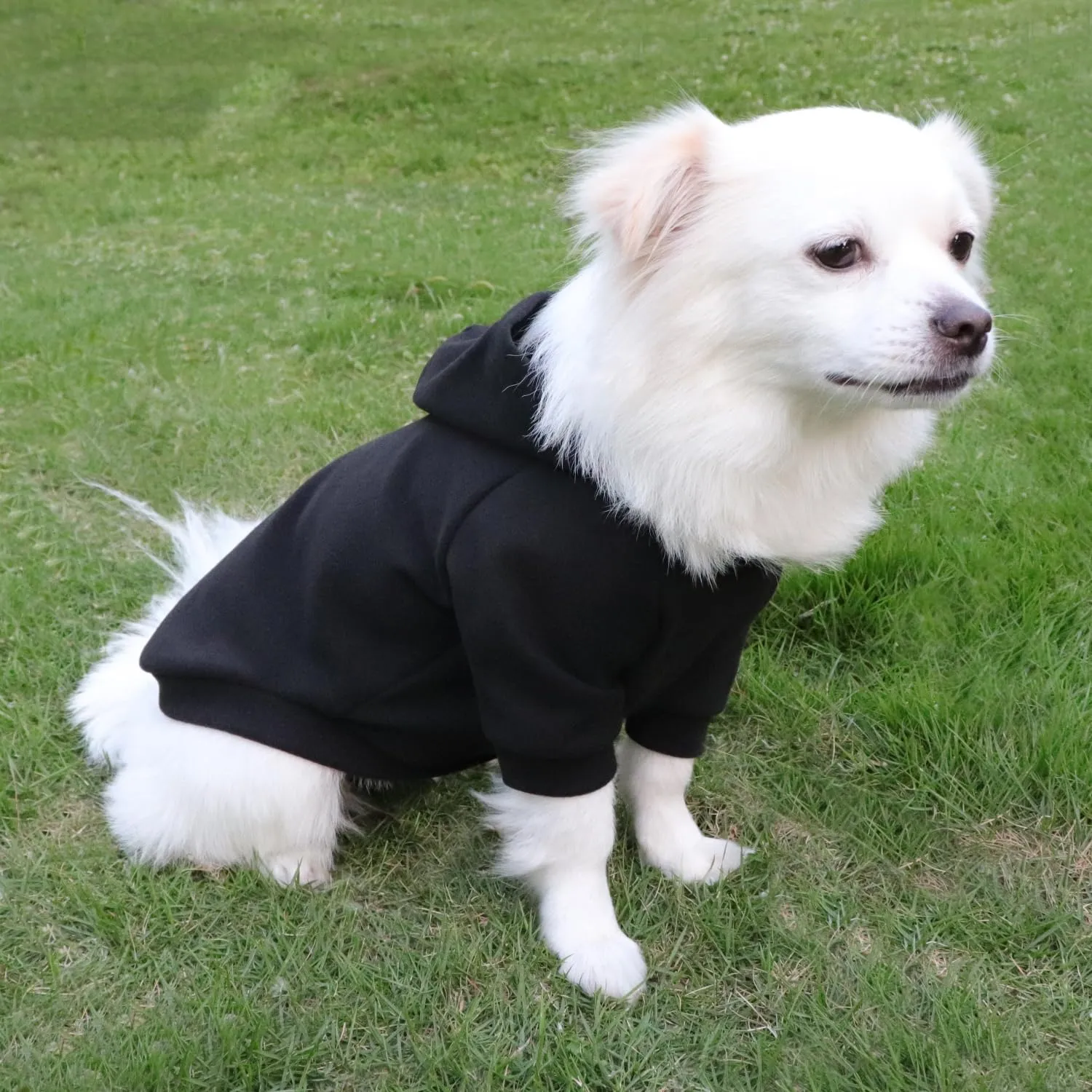 HuaLiSiJi Felpa con Cappuccio per Cani e Gatti, Nero, XXL - immagine 4