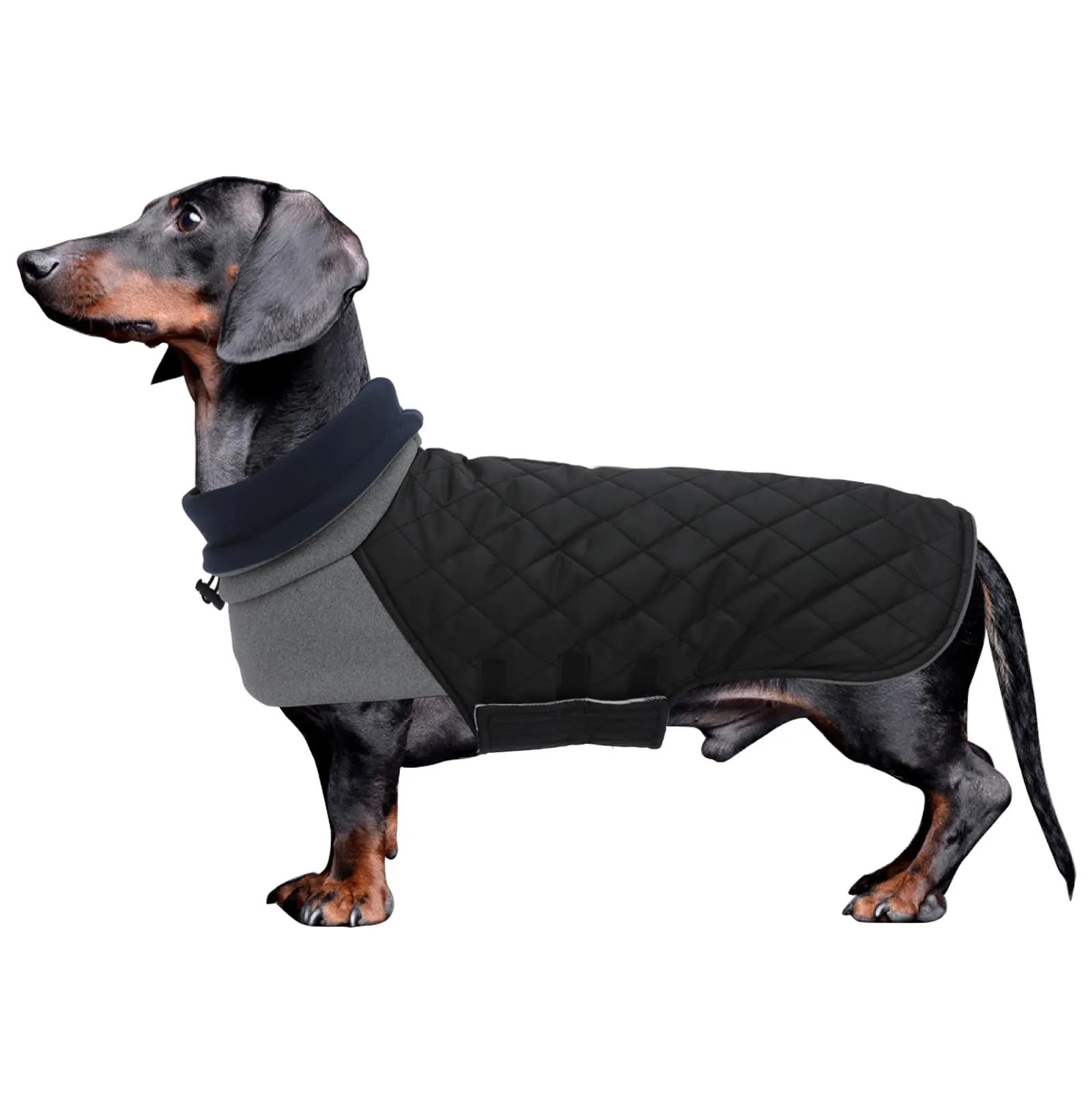 Geyecete Cappotto Invernale Impermeabile e Antivento per Bassotto, Nero, XL - immagine 1