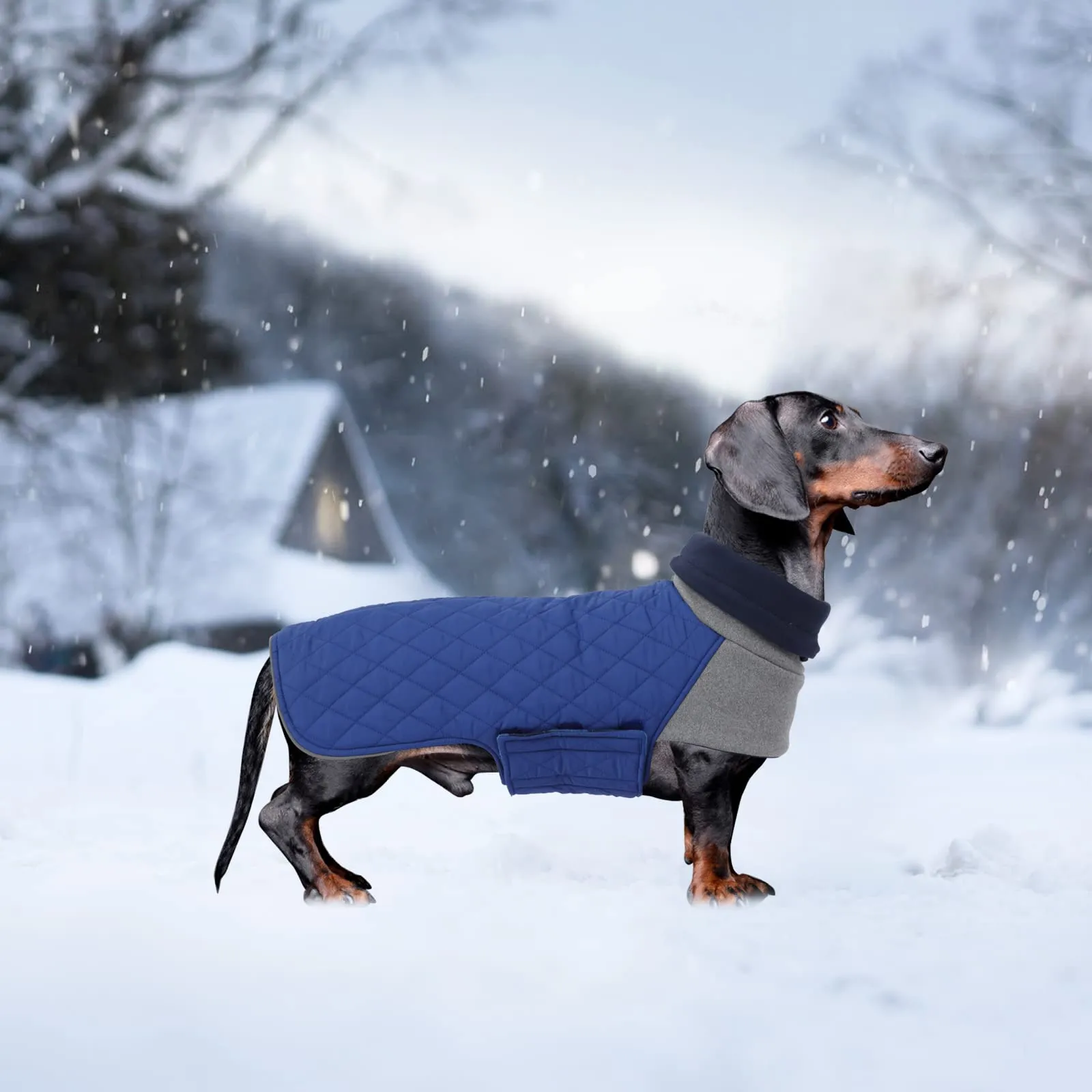 Geyecete Cappotto Invernale Impermeabile e Antivento per Bassotto, Blu, M - immagine 6
