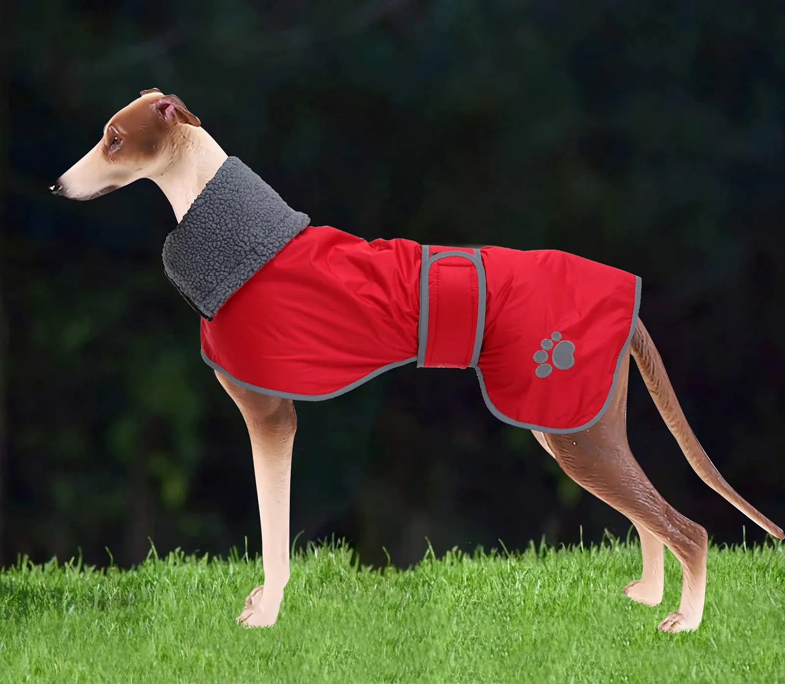 Geyecete Cappotto Impermeabile per Levrieri, Whippet e Lurcher con Fodera in Pile e Fasce Regolabili - Rosso - S - immagine 7