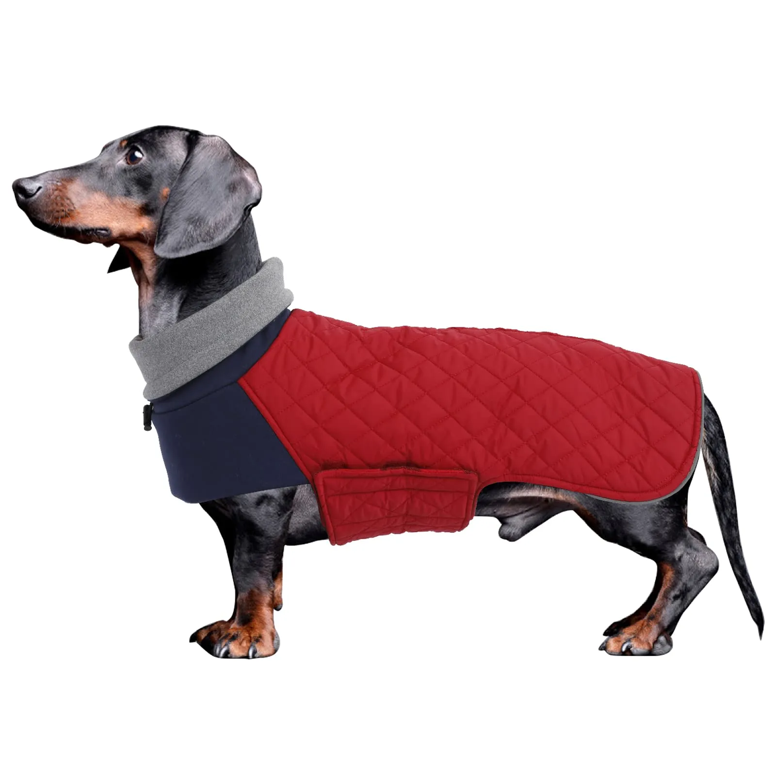 Geyecete Cappotto Invernale Impermeabile e Antivento per Bassotti, Rosso, M - immagine 1