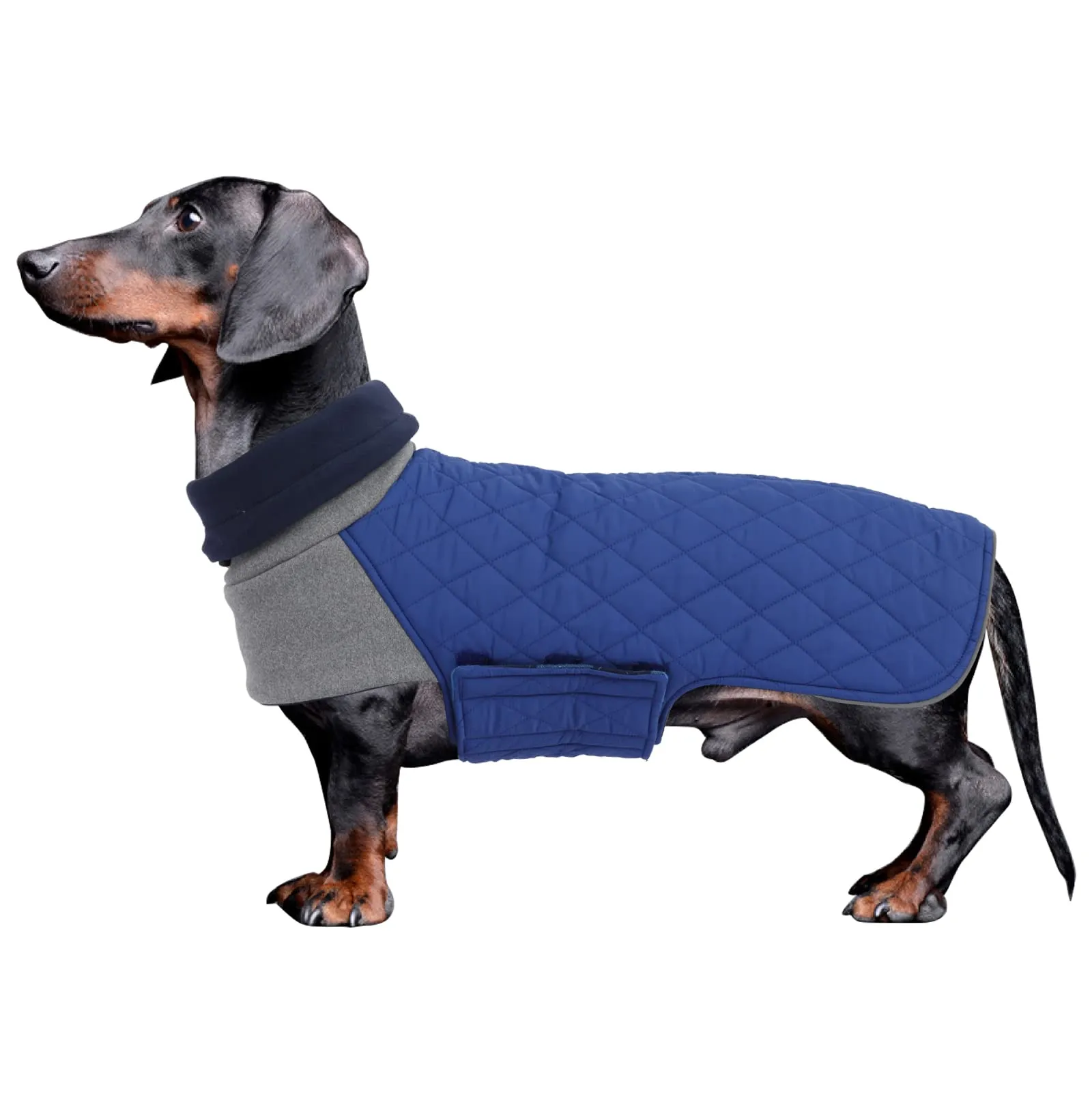 Geyecete Cappotto Invernale Impermeabile e Antivento per Bassotto, Blu, L - immagine 1