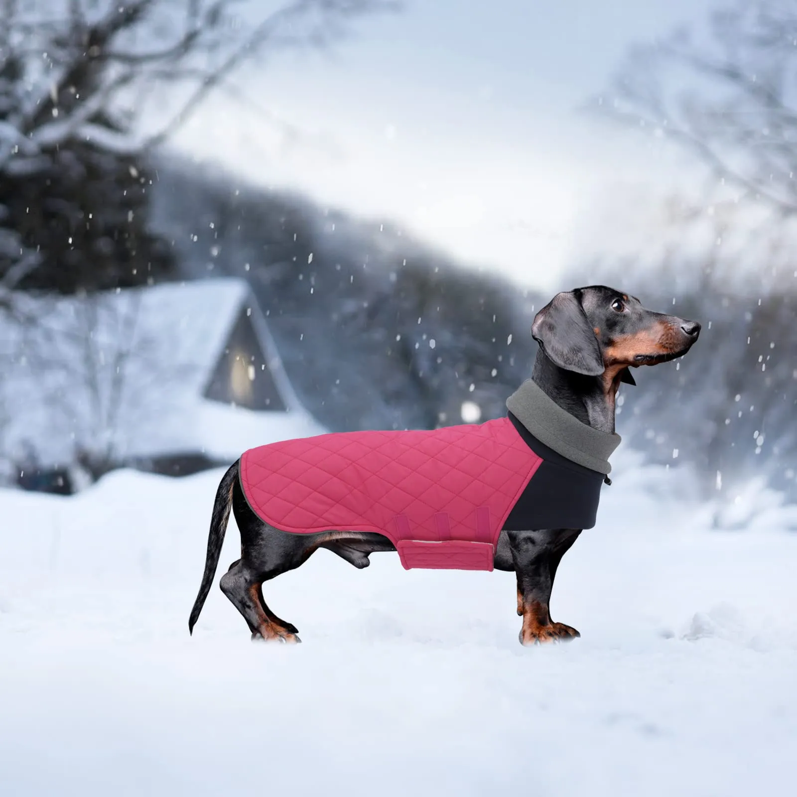Geyecete Cappotto Invernale Impermeabile e Antivento per Bassotto, Rosa, S - immagine 6