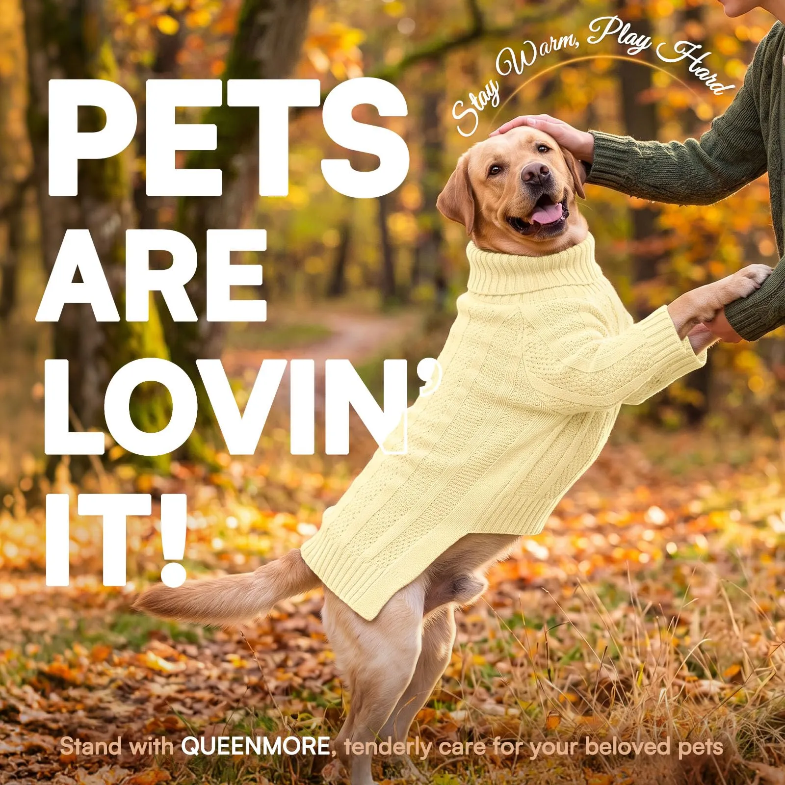 Queenmore Maglione per Cani, Avorio, XL - immagine 8