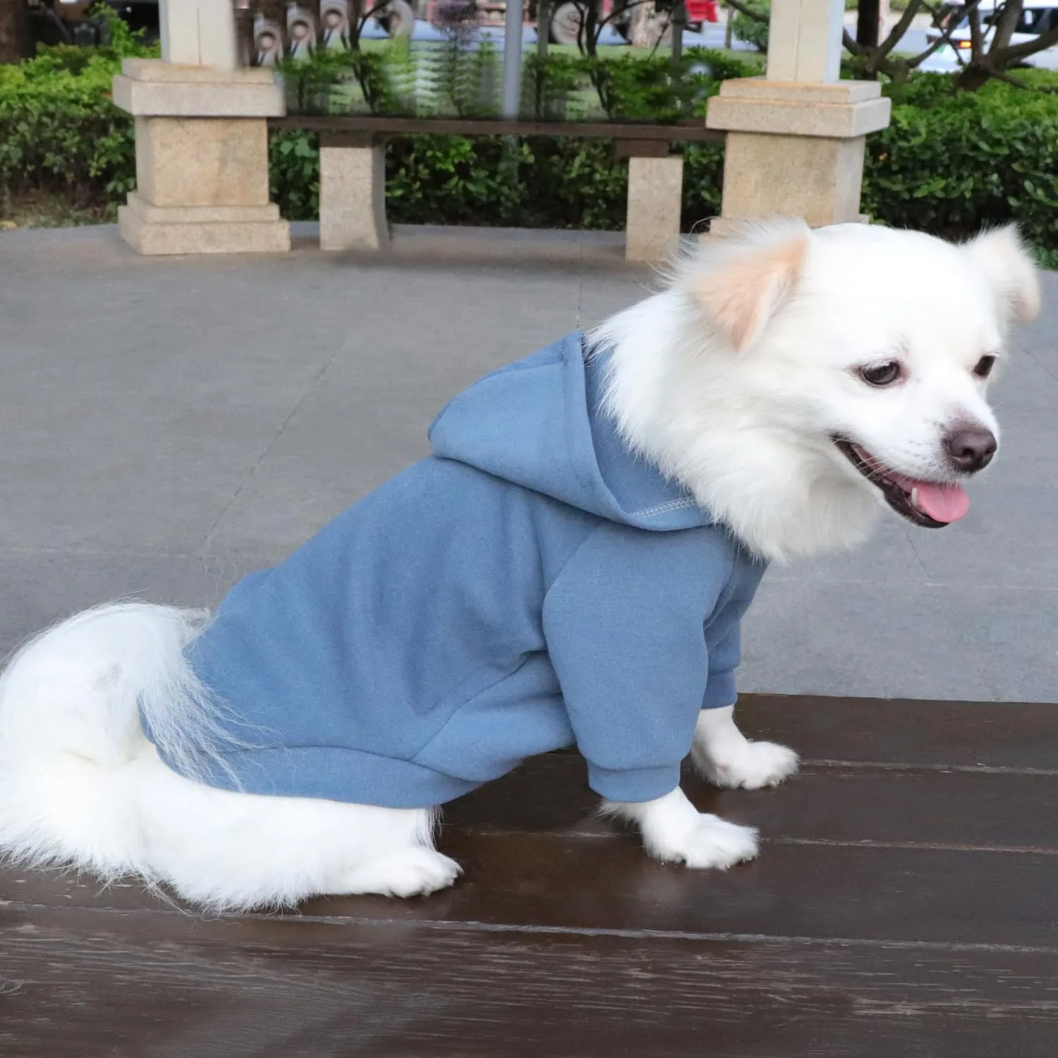 HuaLiSiJi Felpe con cappuccio per cani, 2 pezzi grigio e blu foschio, L - immagine 4