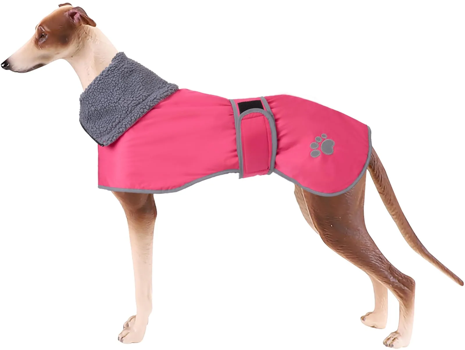 Geyecete Cappotto Impermeabile per Levrieri, Whippet e Lurcher con Fodera in Pile, Rosa, L - immagine 1