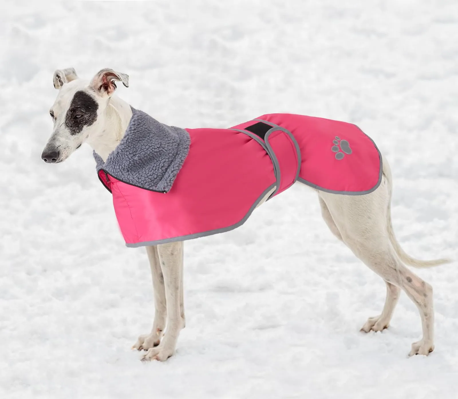 Geyecete Cappotto Impermeabile per Levrieri, Whippet e Lurcher con Fodera in Pile, Rosa, L - immagine 6