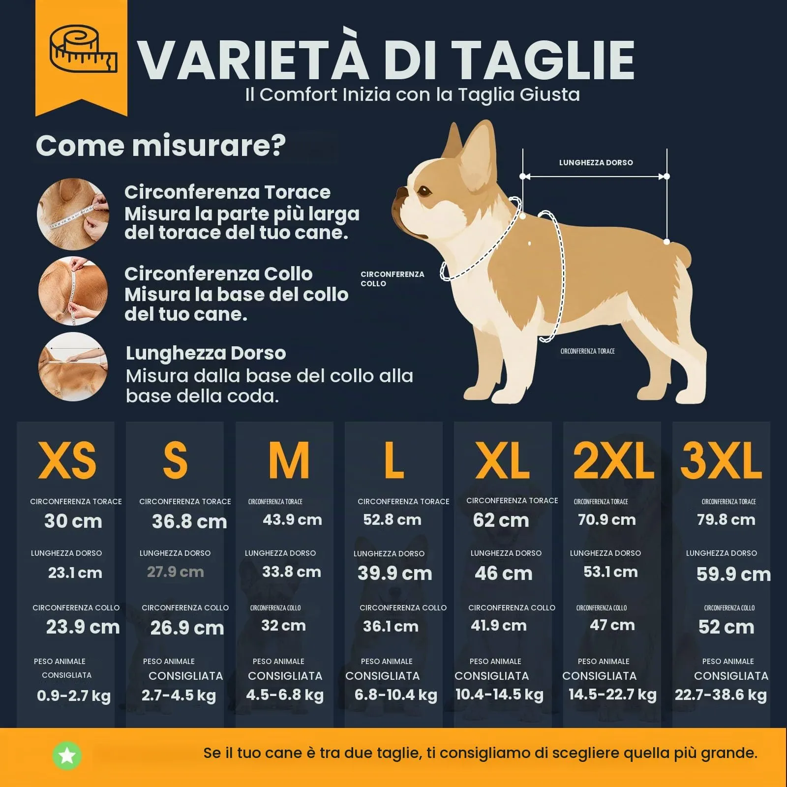 Queenmore Maglioncino per Cane con Collo Alto, Rosa, S - immagine 5