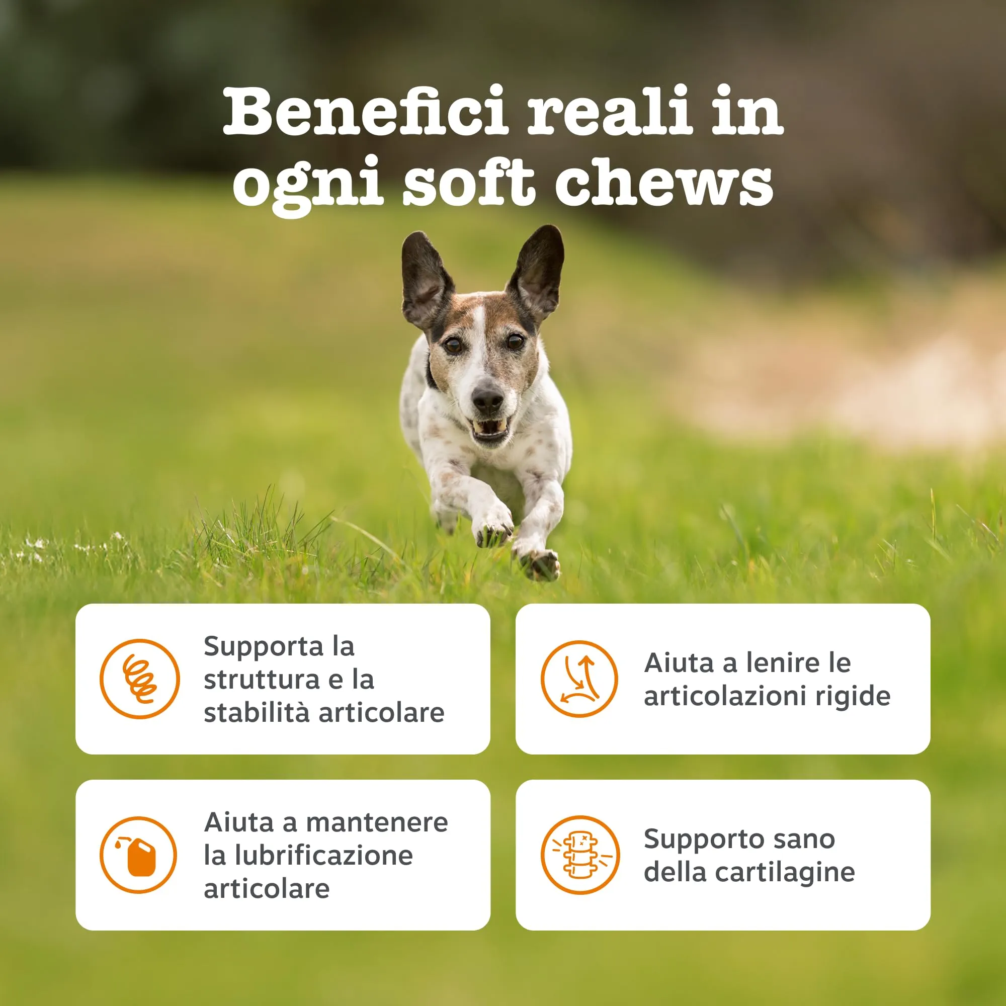 Zesty Paws Hip & Joint per Cani, Gusto Tacchino, 90 Bocconcini - immagine 3