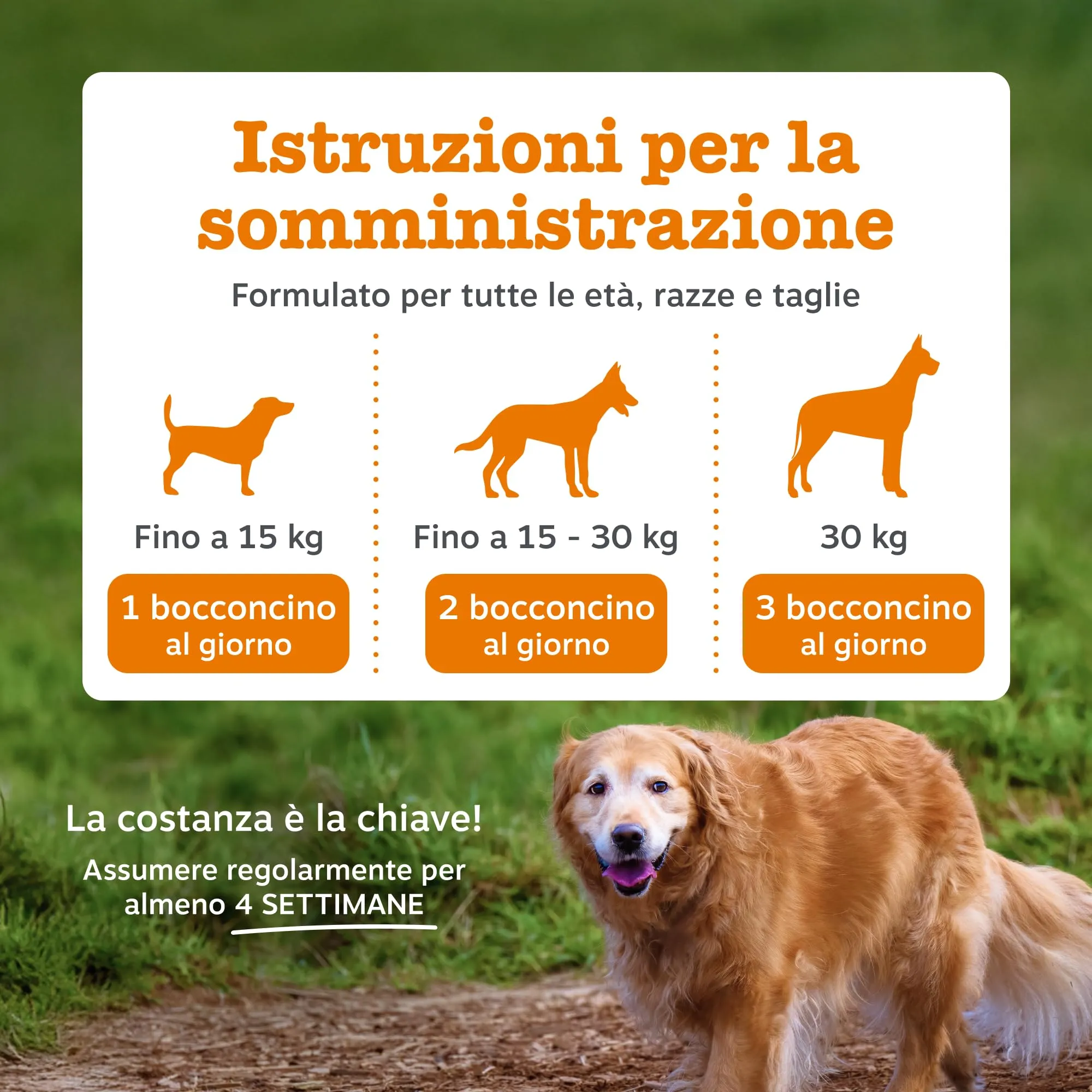 Zesty Paws Hip & Joint per Cani, Gusto Tacchino, 90 Bocconcini - immagine 5