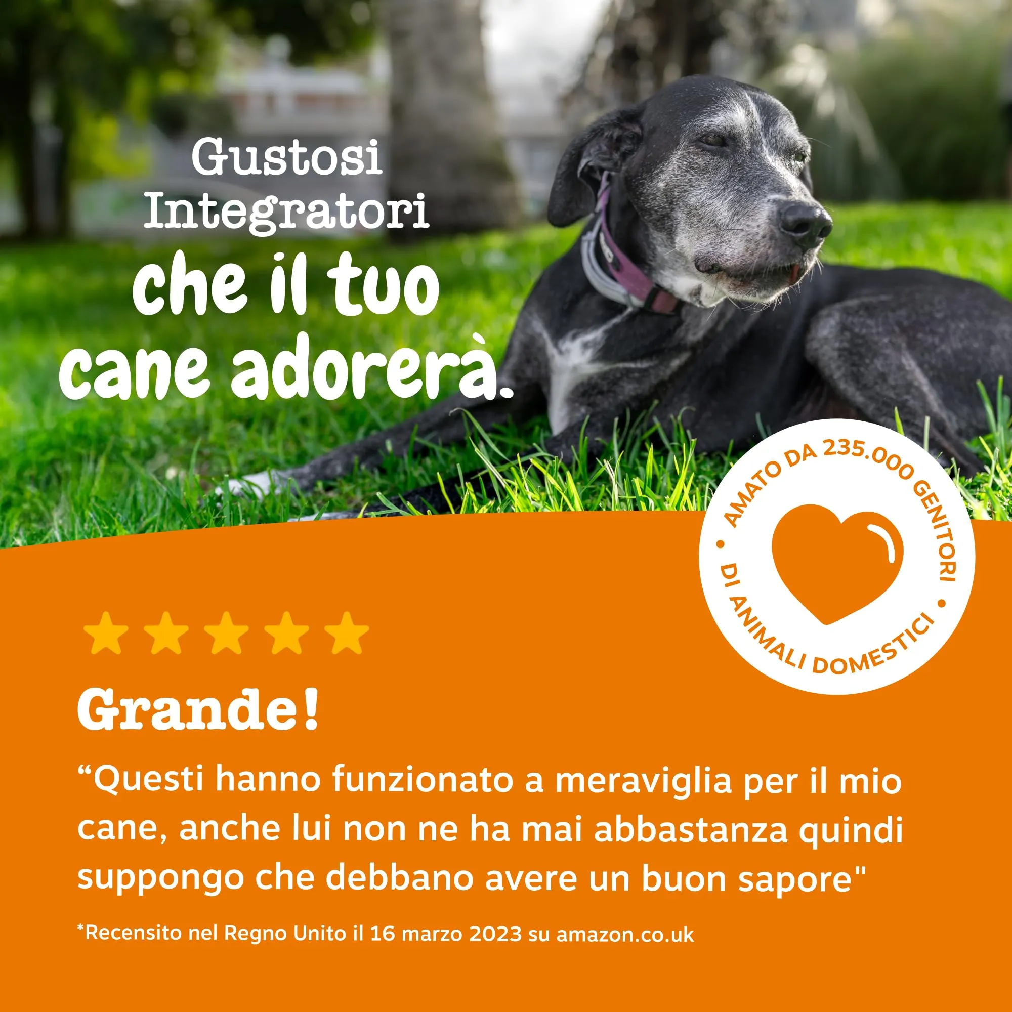 Zesty Paws Hip & Joint per Cani, Gusto Tacchino, 90 Bocconcini - immagine 7