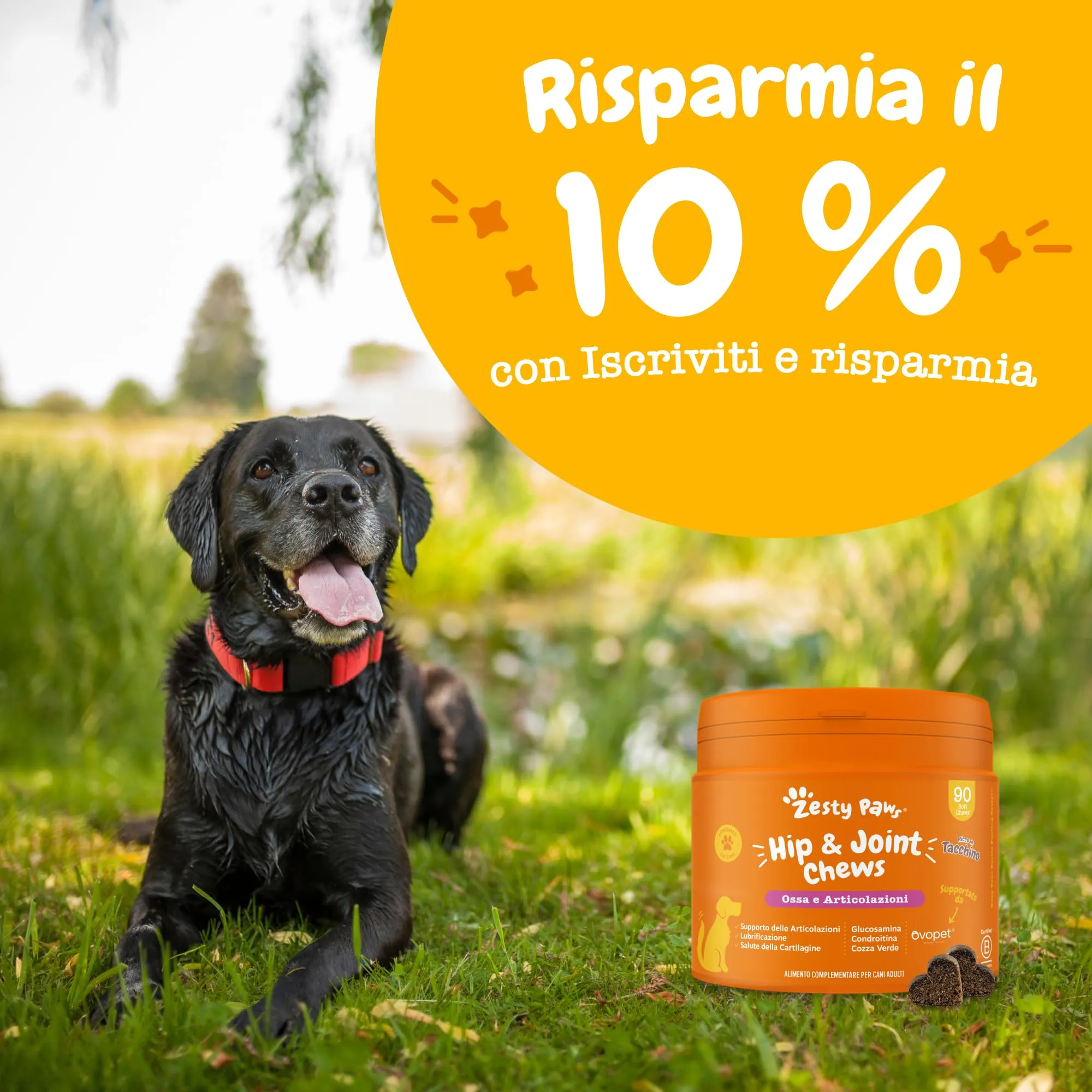 Zesty Paws Hip & Joint per Cani, Gusto Tacchino, 90 Bocconcini - immagine 9