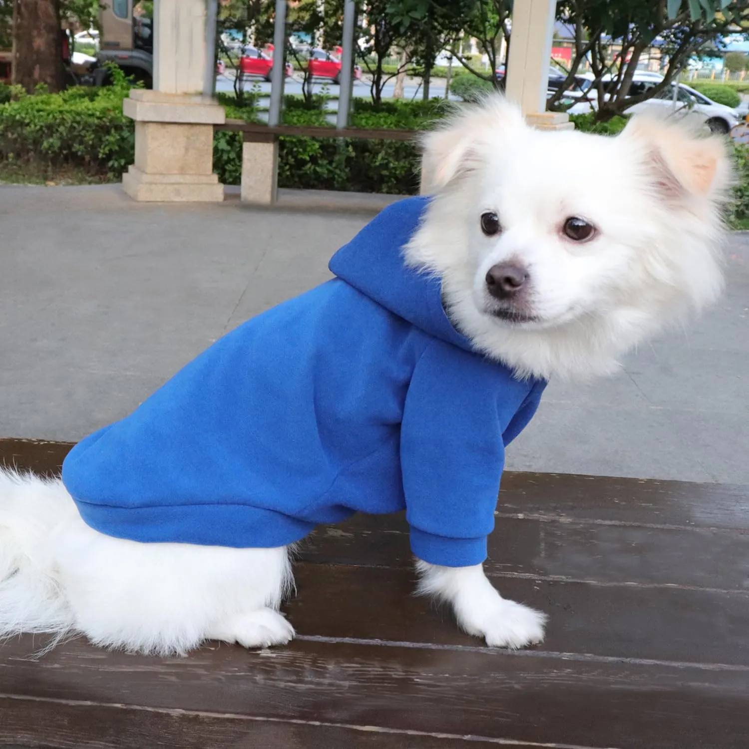 HuaLiSiJi Felpa per Cane, S, Blu Scuro - immagine 4