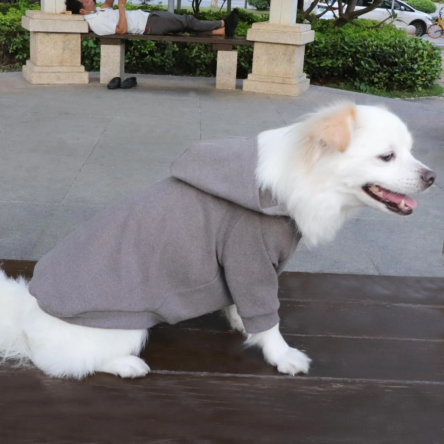 HuaLiSiJi Felpa con Cappuccio per Cani e Gatti, Grigio, M - immagine 4